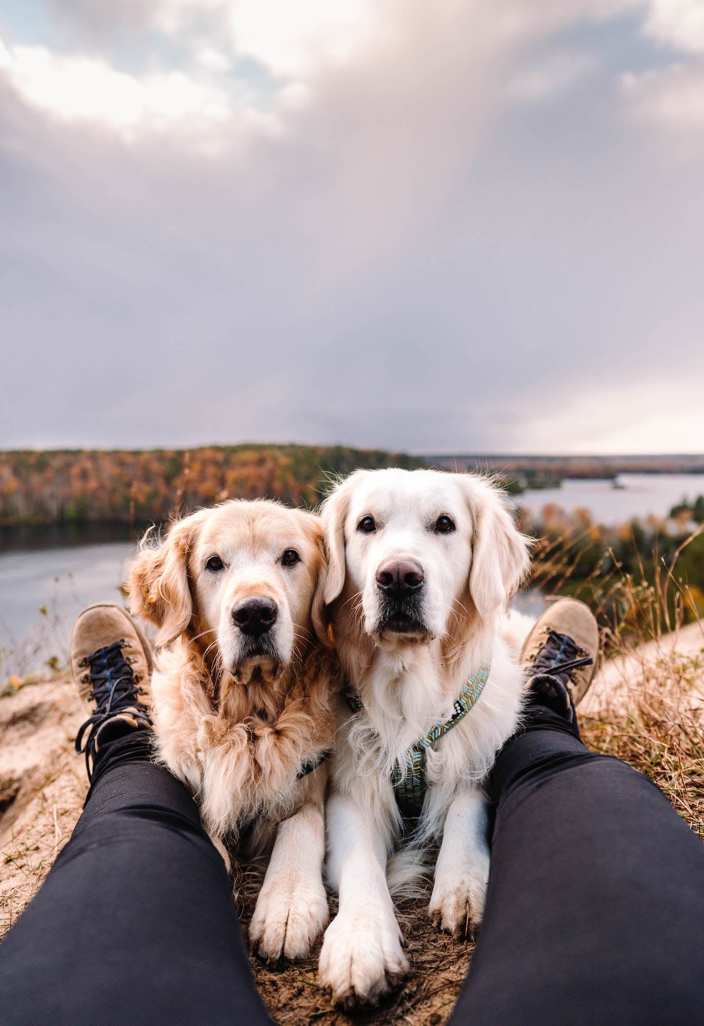 Photo by Rachel Jezowski. Sony Alpha 7 III. Sony 24mm f/1.4 G Master. 1/640-sec., f/2.5, ISO 200