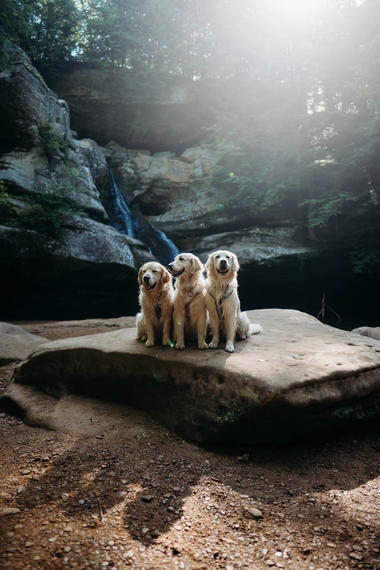 Photo by Rachel Jezowski. Sony Alpha 7 III. Sony 24mm f/1.4 G Master. 1/2000-sec., f/1.6, ISO 500