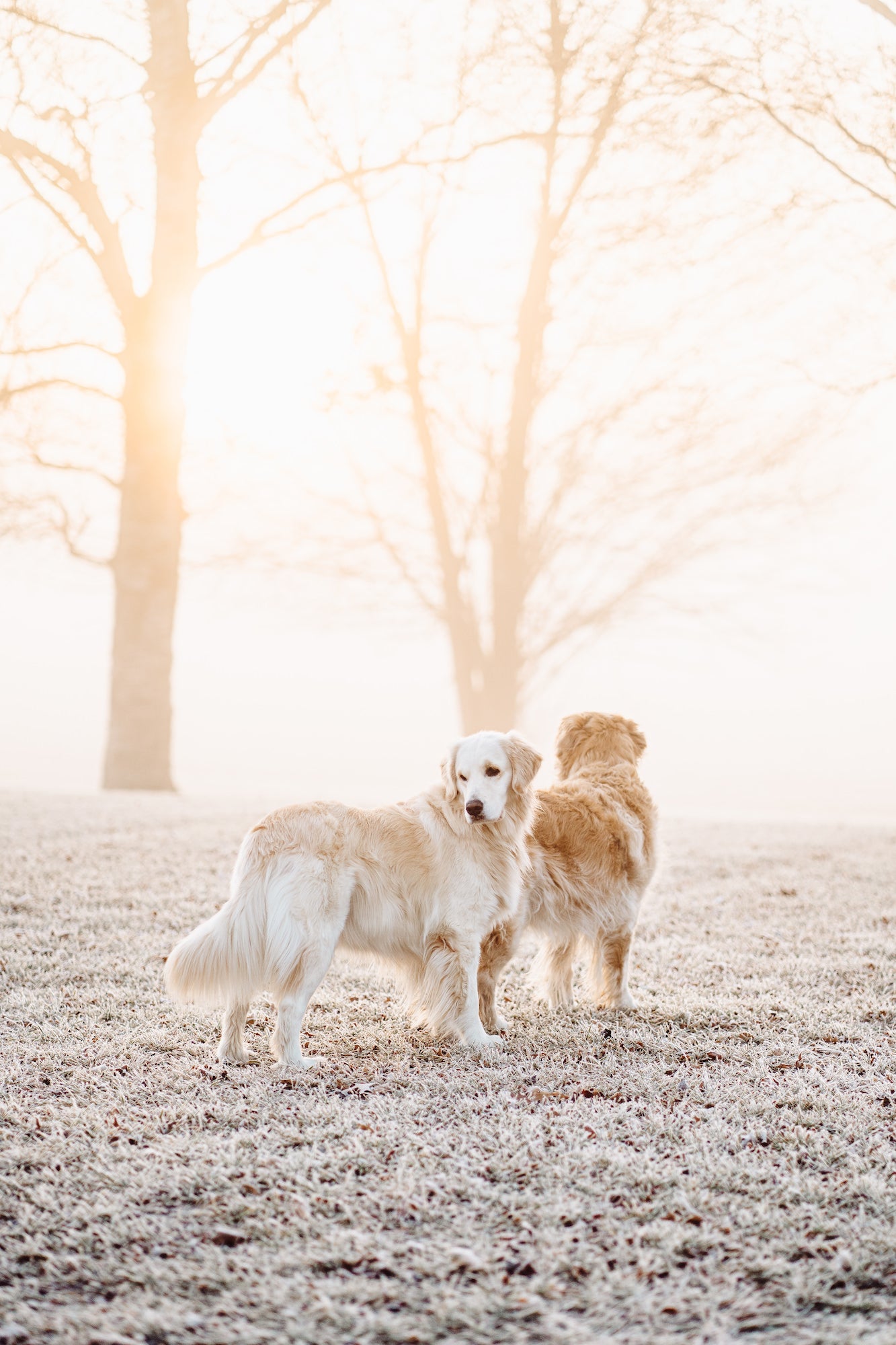 Photo by Rachel Jezowski. Sony Alpha 7 III. Sony 85mm f/1.8. 1/1000-sec., f/2, ISO 200