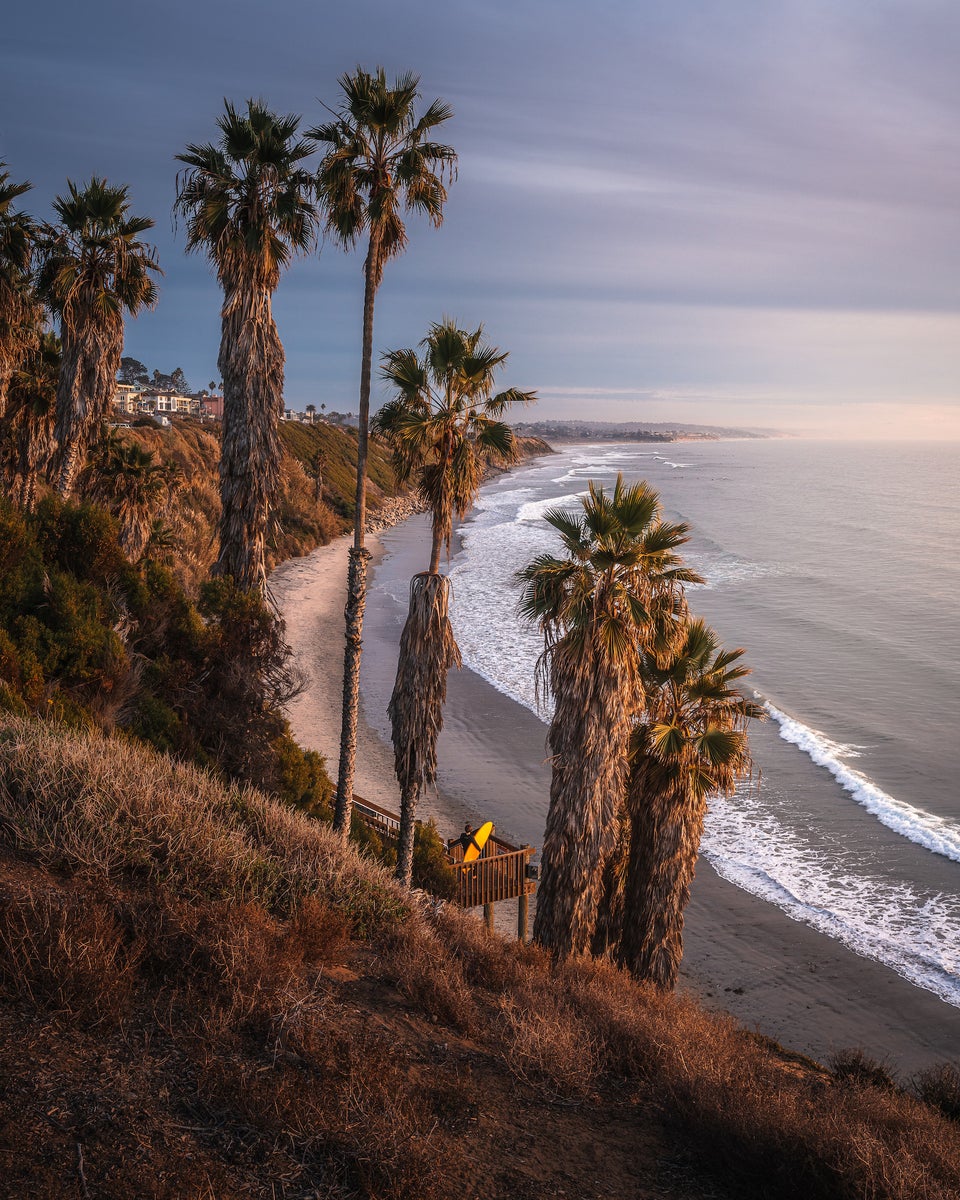 jpg/Alpha-Universe-Ryan-Ditch-Encinitas-1200_boundsyucxss.jpg?height=1200&fit=bounds