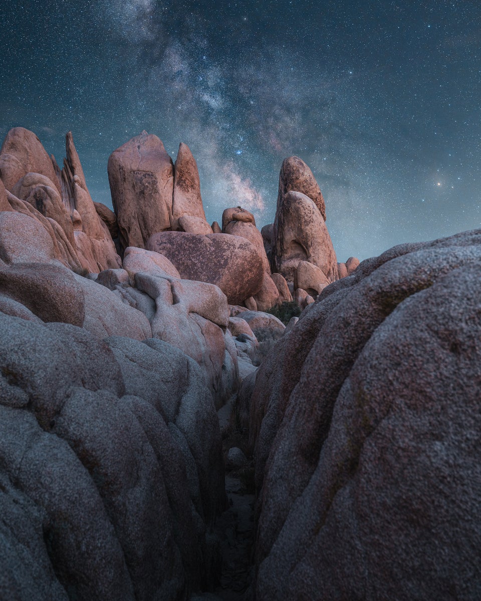jpg/Alpha-Universe-Ryan-Ditch-Joshua_Tree_National_Park-1200_bounds0g0ff1.jpg?height=1200&fit=bounds