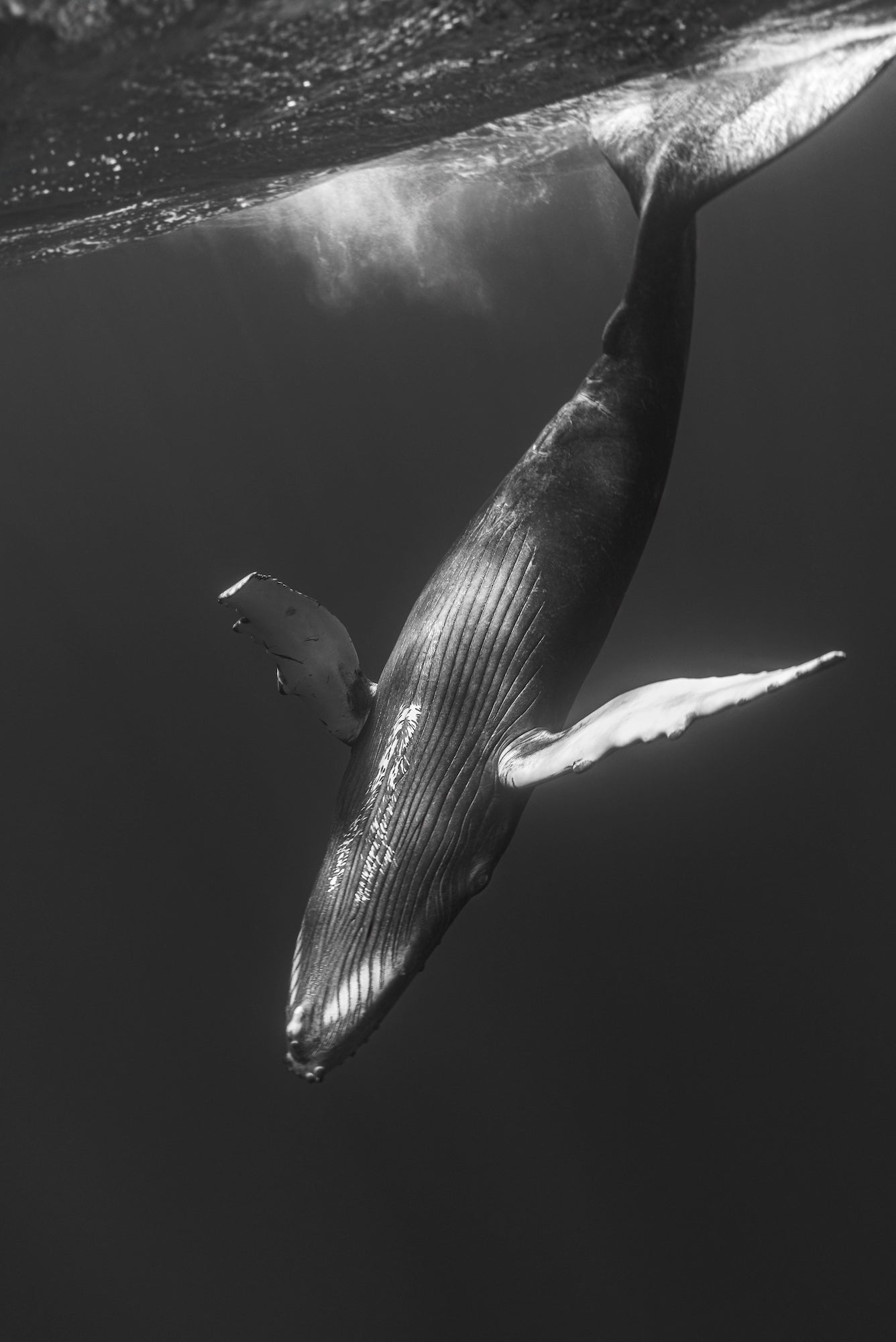 Photo by Stan Moniz. Sony FX3. Sony 16-35mm f/2.8 G Master II. 1/250-sec., f/8, ISO 250