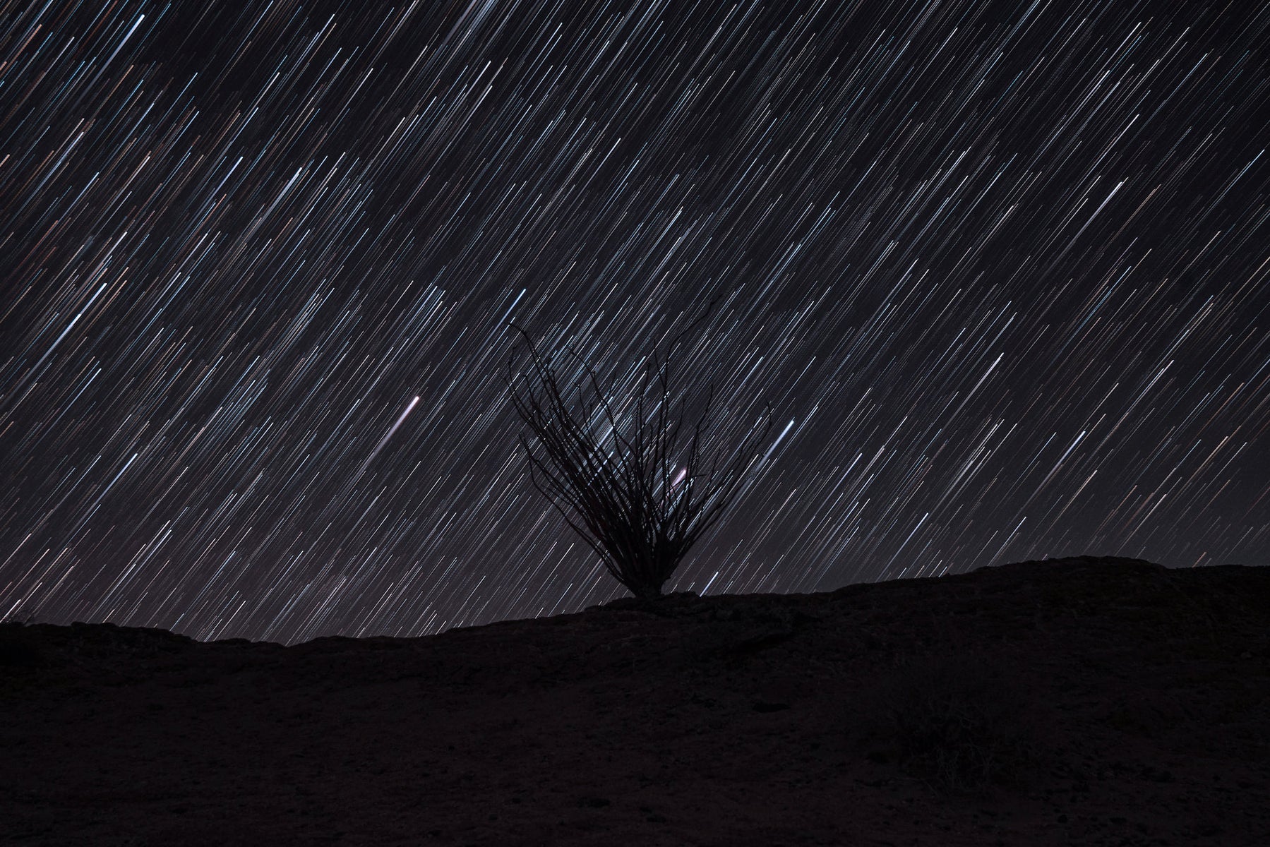 jpg/Alpha-Universe-StanMoniz-FONTS-POINT-STAR-TRAILS-1200_boundsphnlgu.jpg?height=1200&fit=bounds