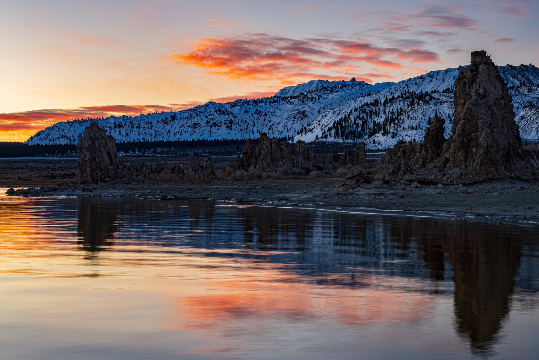 jpg/Alpha-Universe-StanMoniz-MONO-LAKE-1200_boundsuuu0i4.jpg?height=1200&fit=bounds