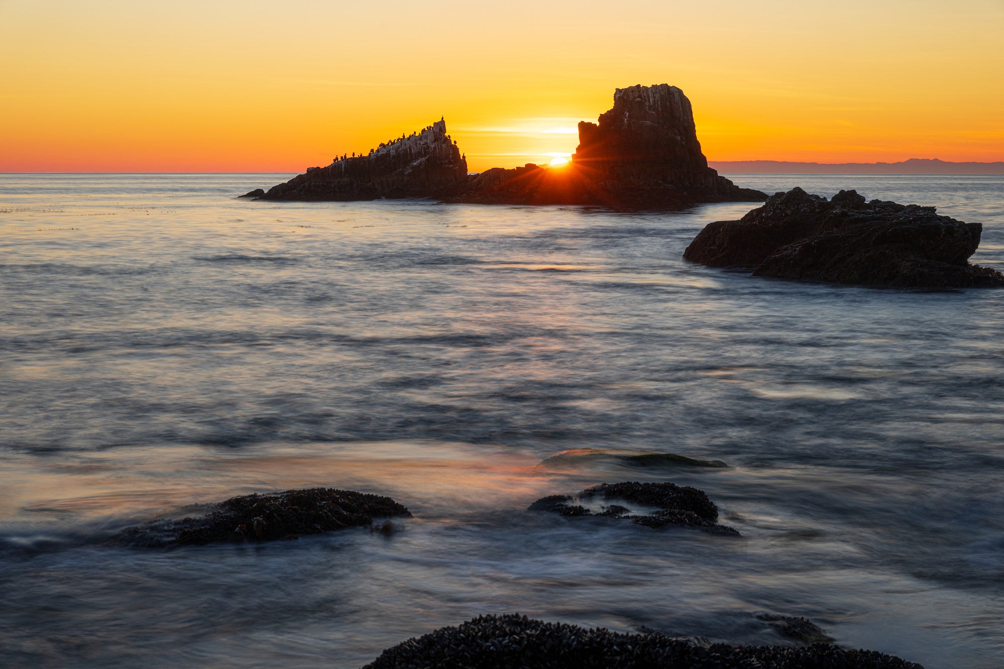 Alpha-Universe-StanMoniz-SEAL-ROCK-SUNSET.jpg