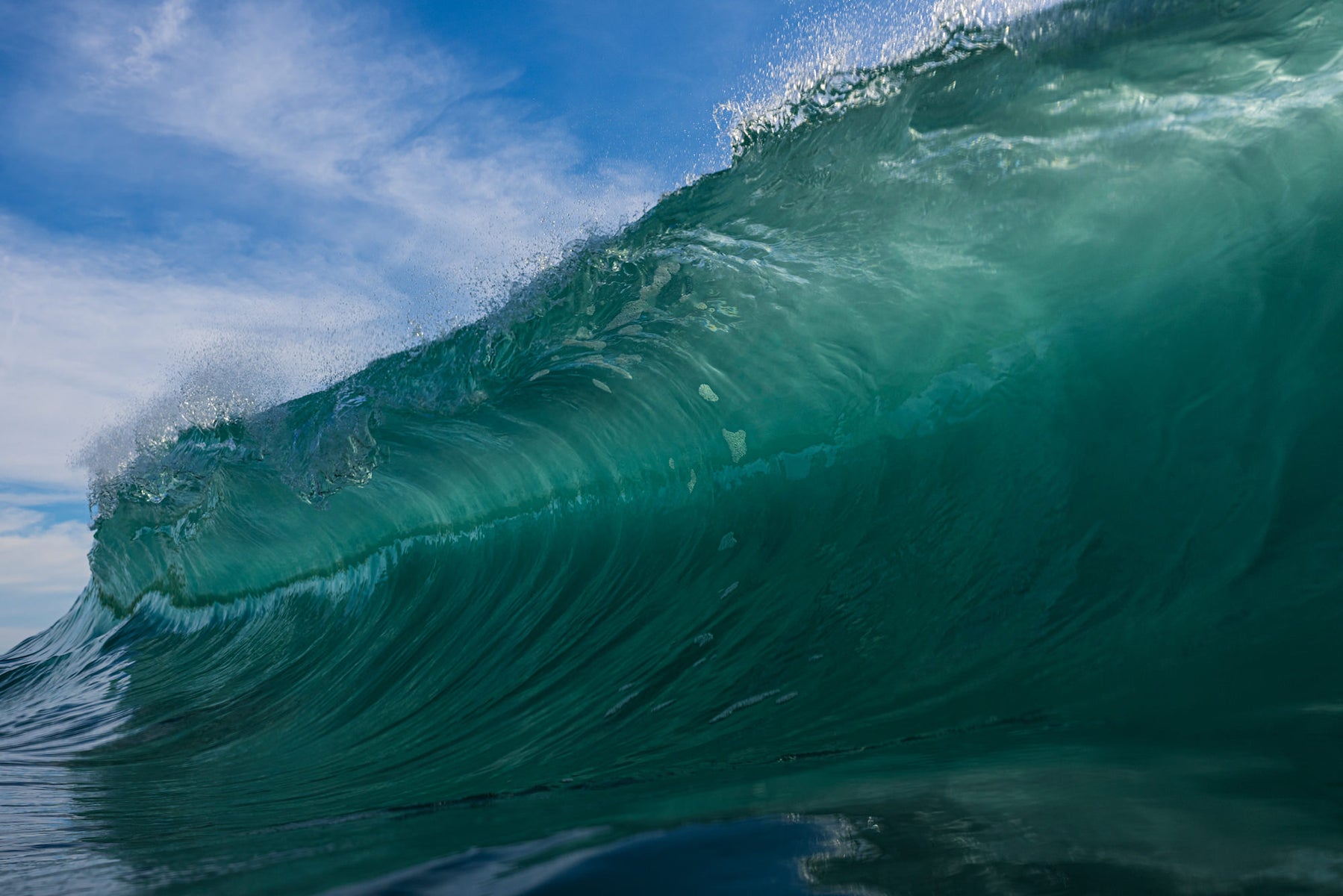jpg/Alpha-Universe-StanMoniz-SURF-16-1200_bounds9tu1g7.jpg?height=1200&fit=bounds