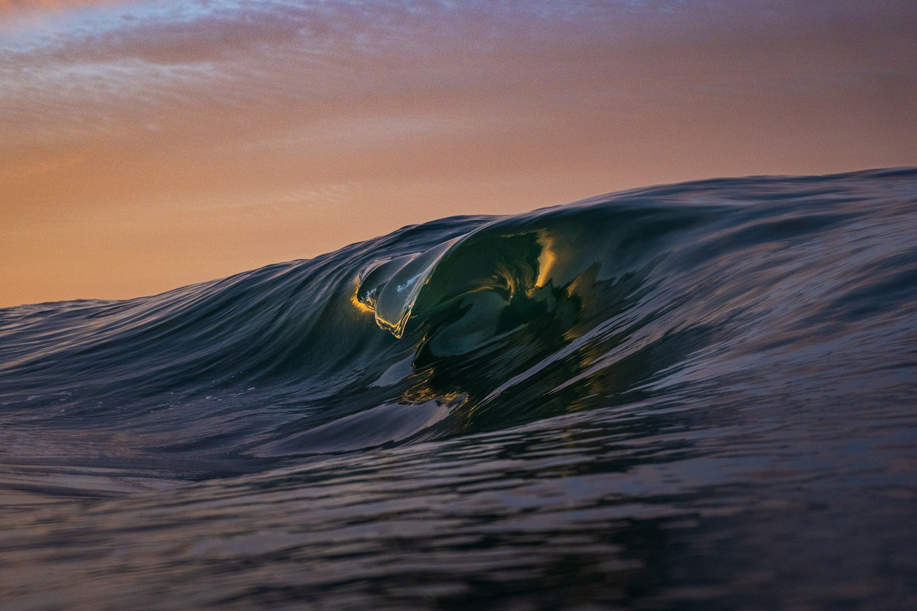 jpg/Alpha-Universe-StanMoniz-SURF-7-1200_boundset2s8e.jpg?height=1200&fit=bounds