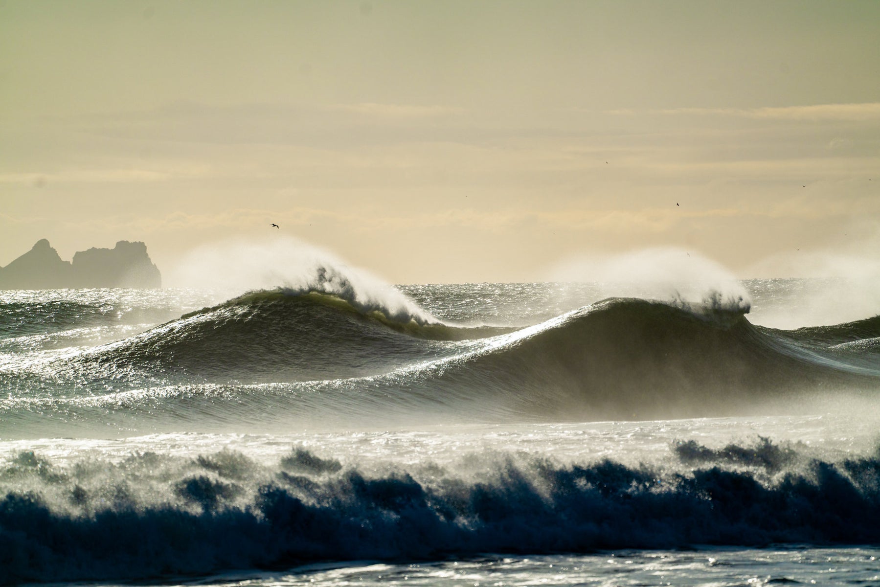 jpg/Alpha-Universe-WIMB-2024-Chris-Burkard-5-1200_boundsr2hoy4.jpg?height=1200&fit=bounds
