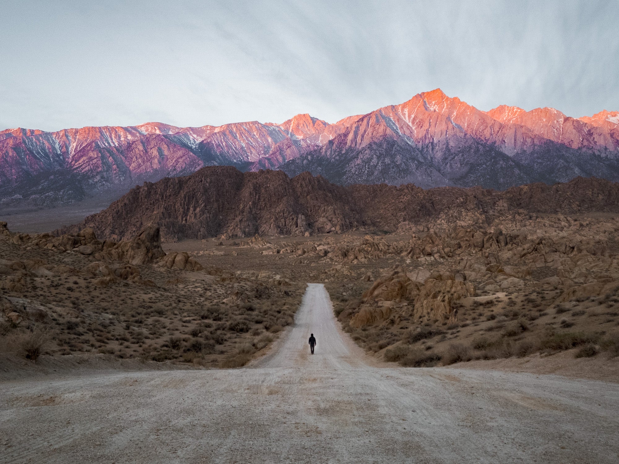 Photo by Tiffany Nguyen. Sony Xperia 1 IV. 1/160-sec., f/1.7, ISO 100
