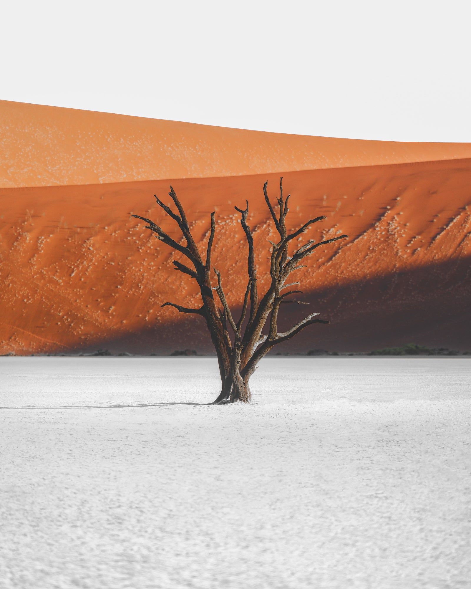 Photo by Alvaro Valiente. Sony Alpha 7R III. Sony 70-200mm f/2.8 G Master II. 1/320-sec., f/2.8, ISO 100