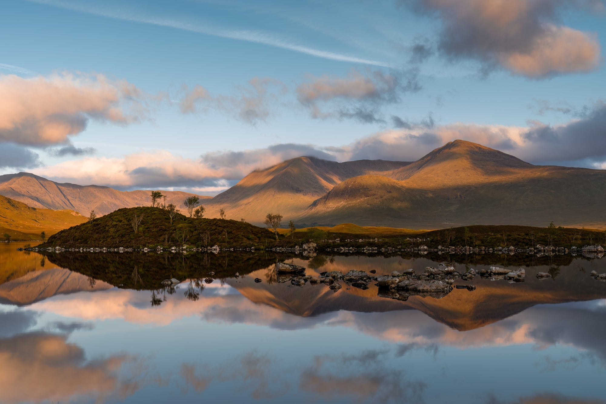 Photo by Andrew Macdonald. Sony Alpha 1. Sony 24-70mm f/2.8 G Master.