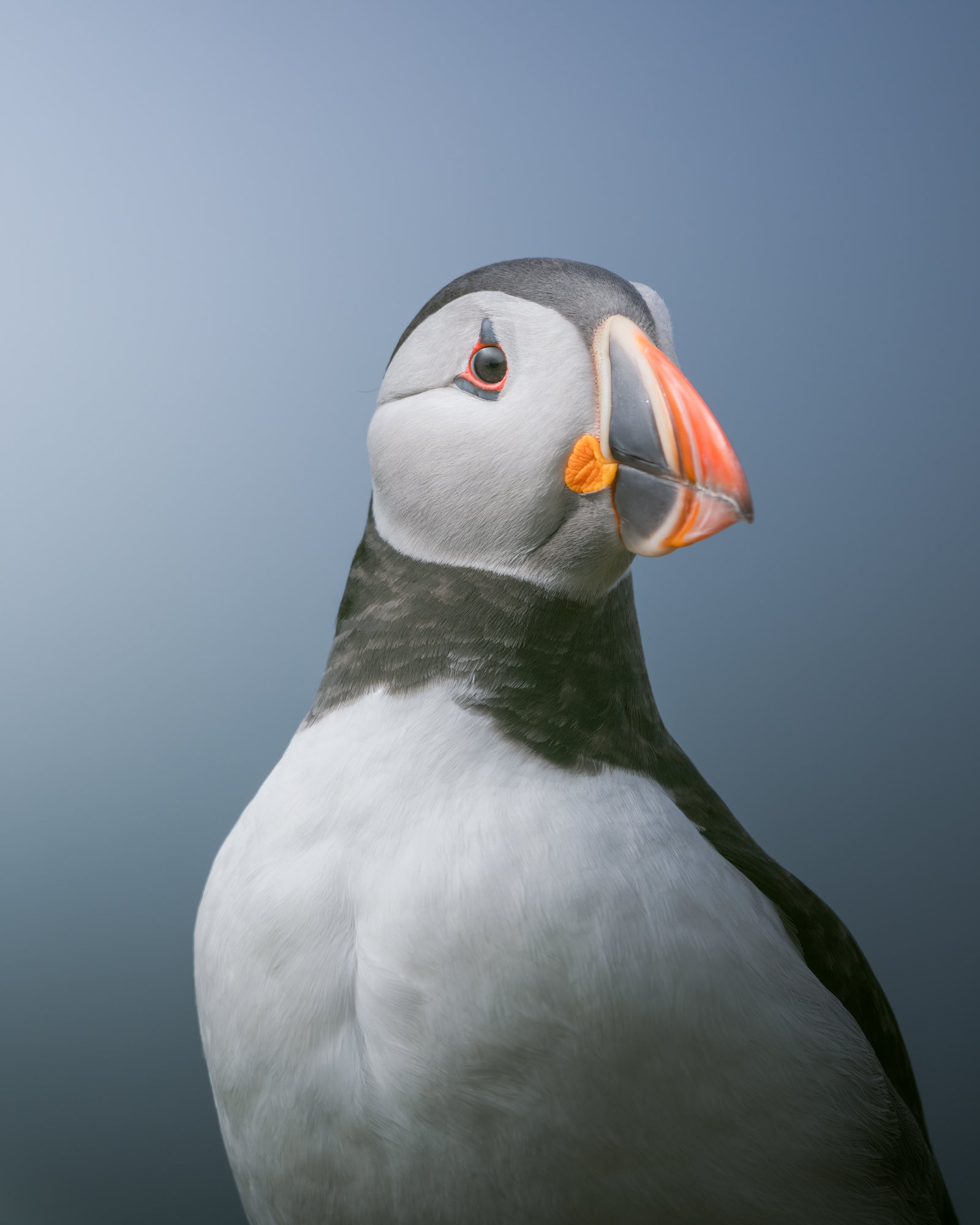Photo by Andrew Macdonald. Sony Alpha 1. Sony 200-600mm f/5.6-6.3 G.