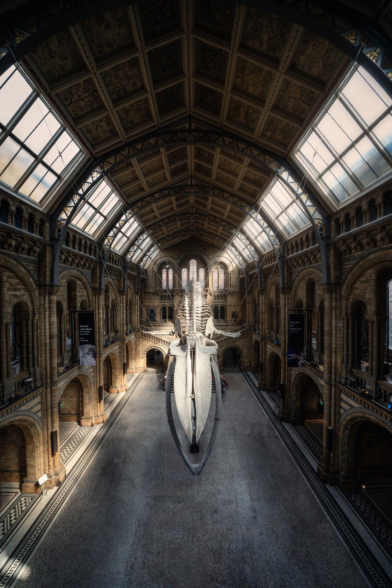 jpg/Alpha-Universe-WIMB-Antoine-Buchet-12-1200_boundswzpguy.jpg?height=1200&fit=bounds