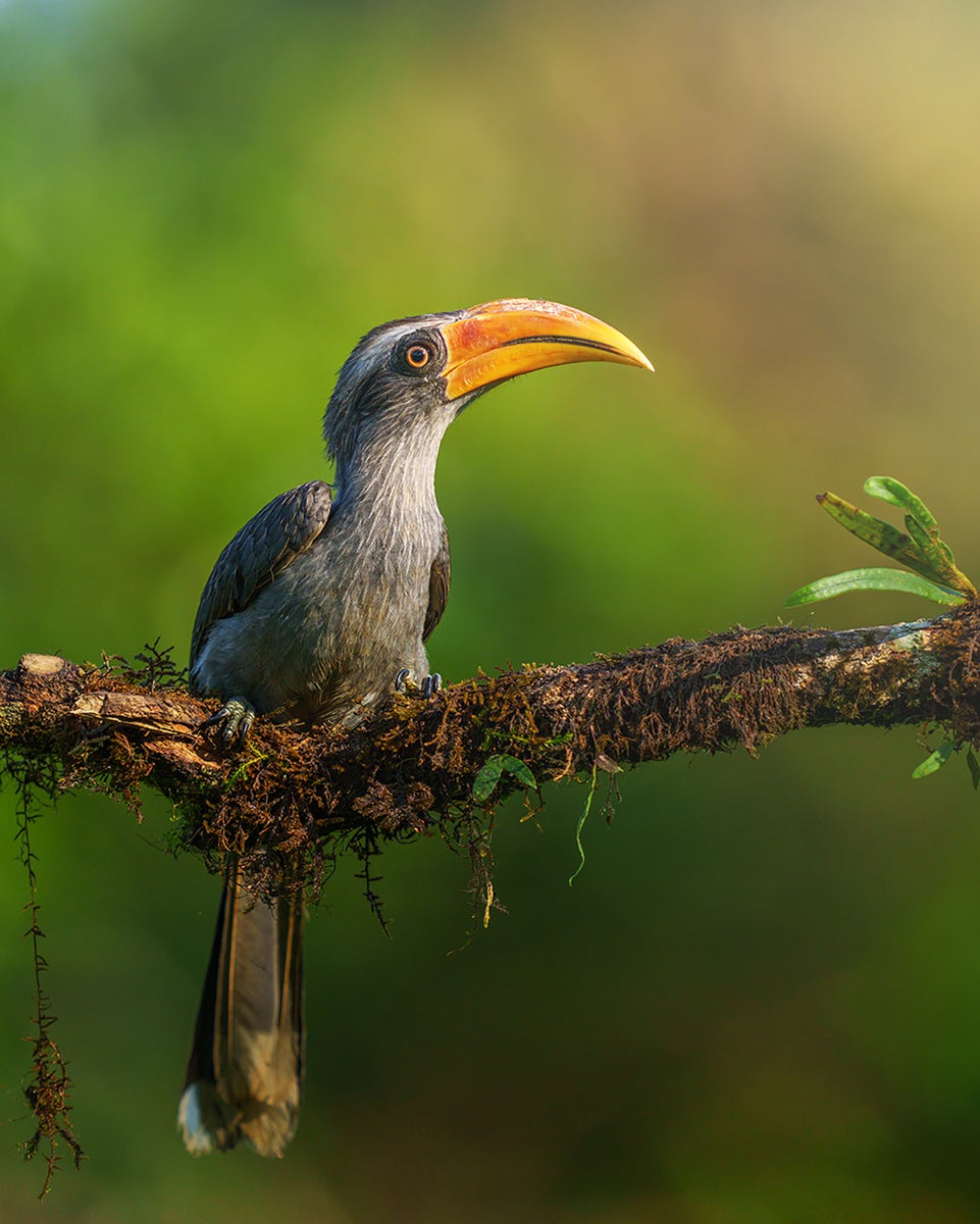 jpg/Alpha-Universe-WIMB-Anupam-Thombre-a1-400mm-10-1200_bounds33z3nn.jpg?height=1200&fit=bounds