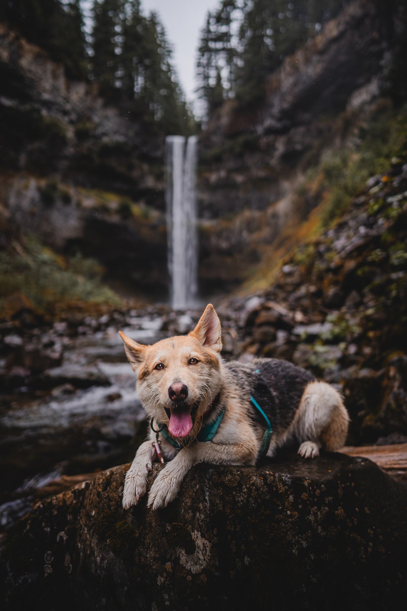 Photo by Arletta Fussell. Sony Alpha 7 III. Sony 24mm f/1.4 G Master. 1/1600-sec., f/1.6, ISO 125