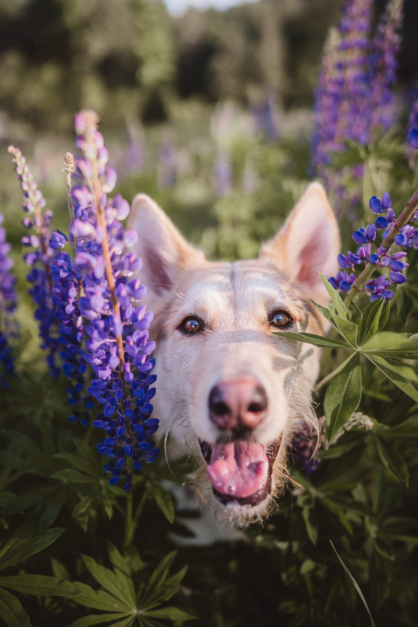 Photo by Arletta Fussell. Sony Alpha 7 III. Sony 24mm f/1.4 G Master. 1/1250-sec., f/1.4, ISO 125