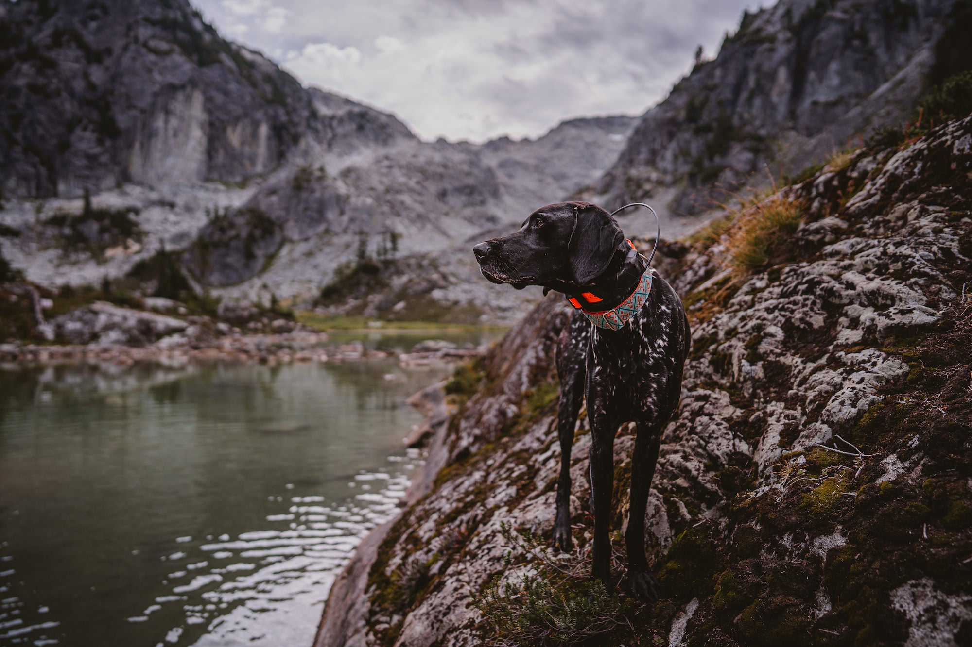 Photo by Arletta Fussell. Sony Alpha 7 III. Sony 24mm f/1.4 G Master. 1/2500-sec., f/2.2, ISO 100