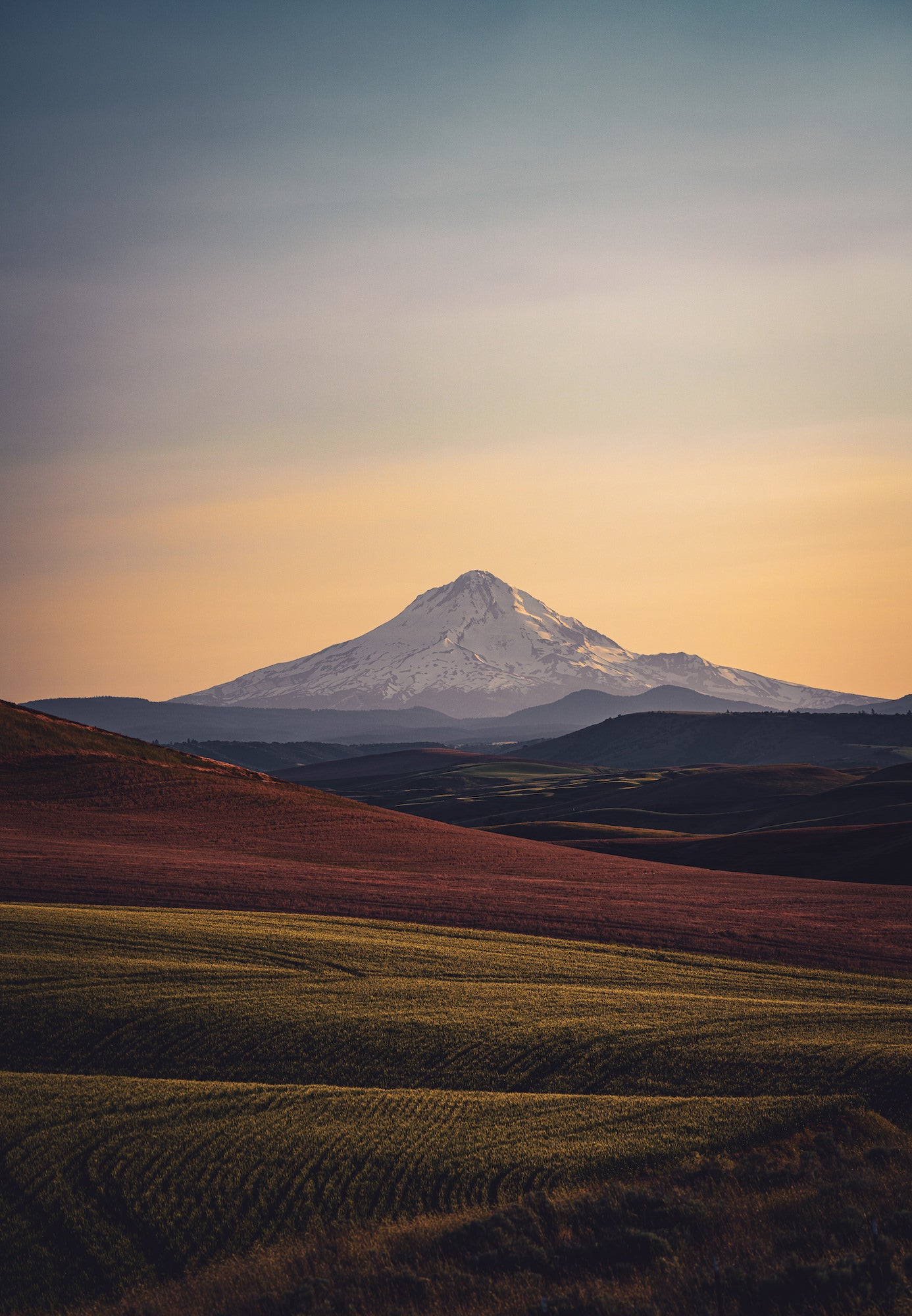 Photo by Benjamin Wallace. Sony Alpha 7R IV. Sony 135mm f/1.8 G Master. 1/640-sec., f/2, ISO 100