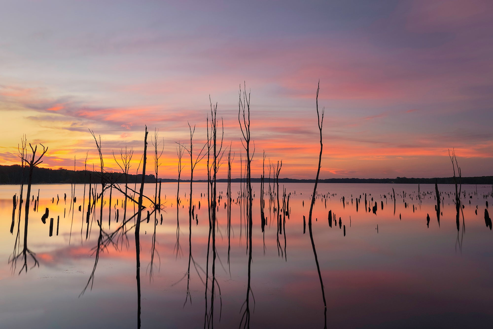 Alpha-Universe-WIMB-Brent-Guiliano-Landscape-2.jpg