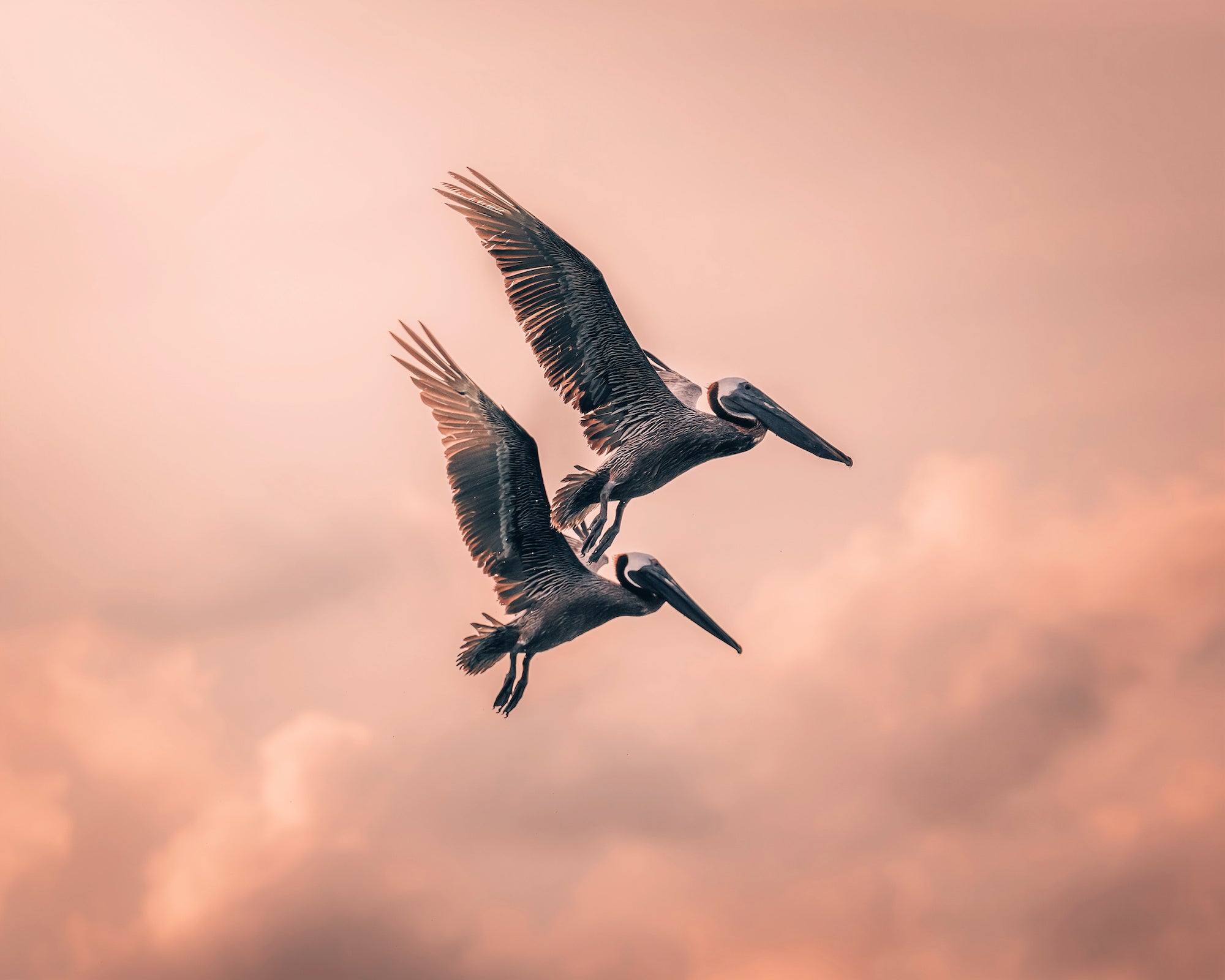 Photo by Bret Blakely. Sony Alpha 7R III. Sony 70-200mm f/2.8 G Master. 1/1250-sec., f/4.5, ISO 250