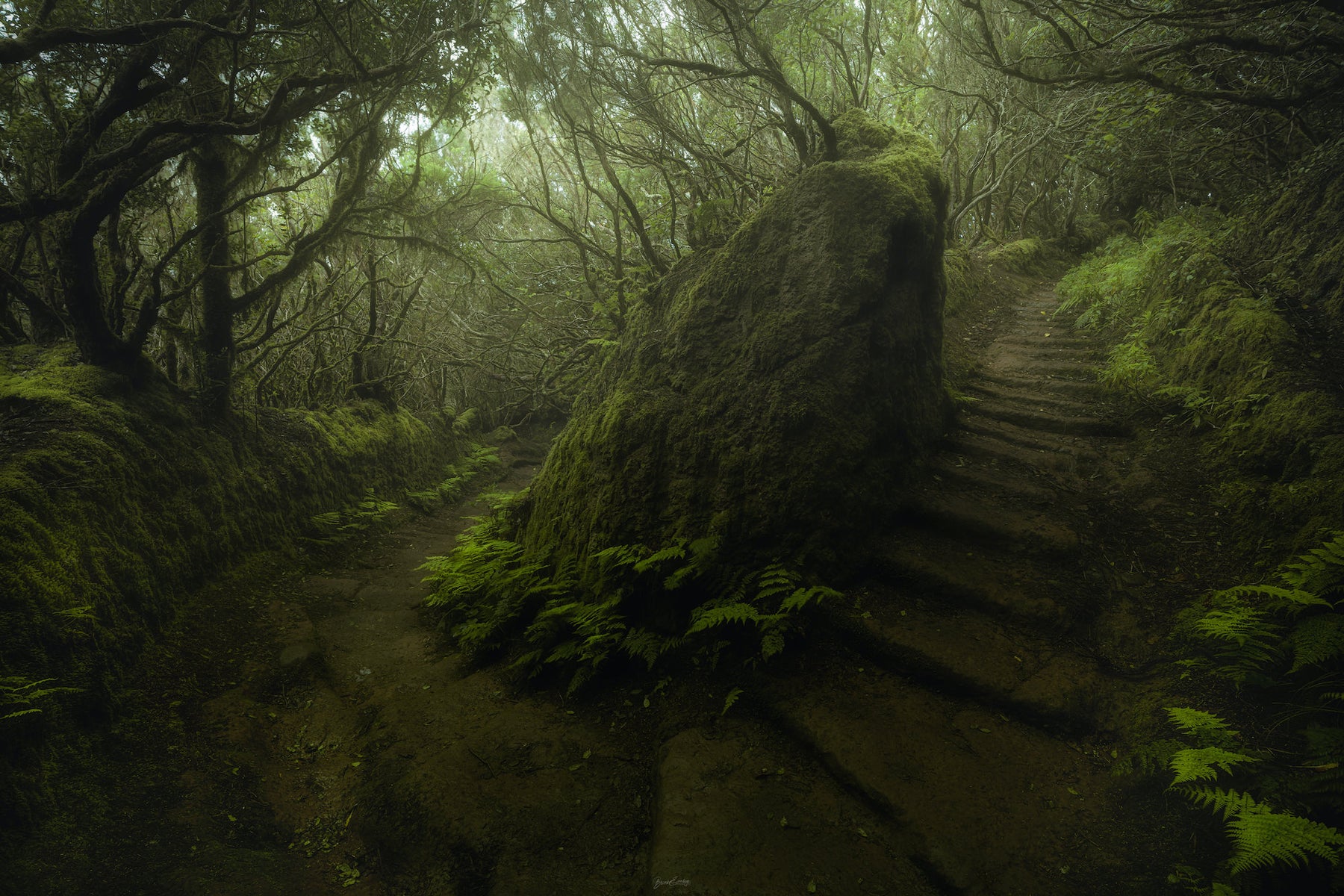jpg/Alpha-Universe-WIMB-Burak-Esenbey-10-1200_boundsm9ux10.jpg?height=1200&fit=bounds