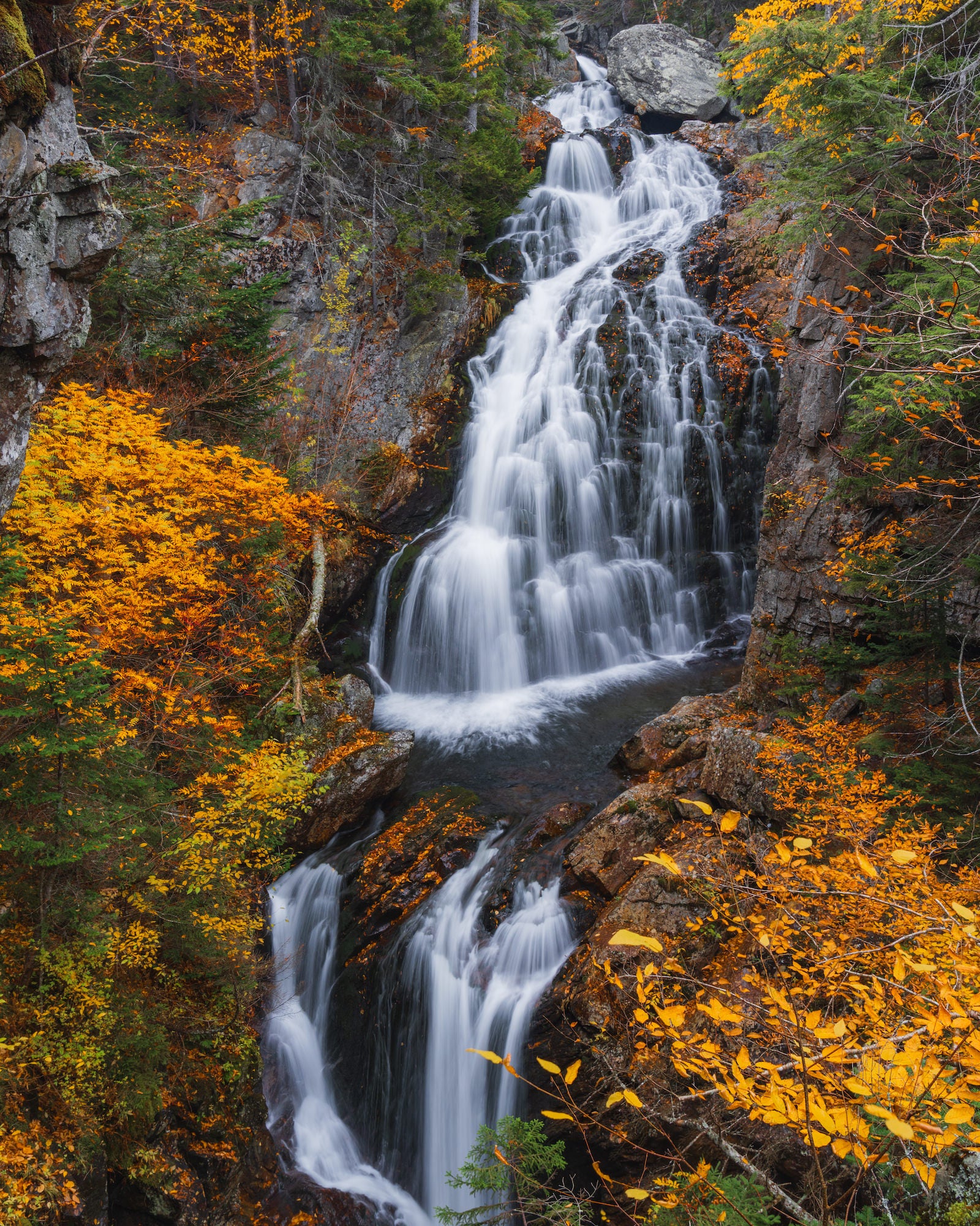 Photo by Chris Bridner. Sony Alpha 7R IV. Sony 24-105mm f/4 G. 1/3-sec., f/10, ISO 100