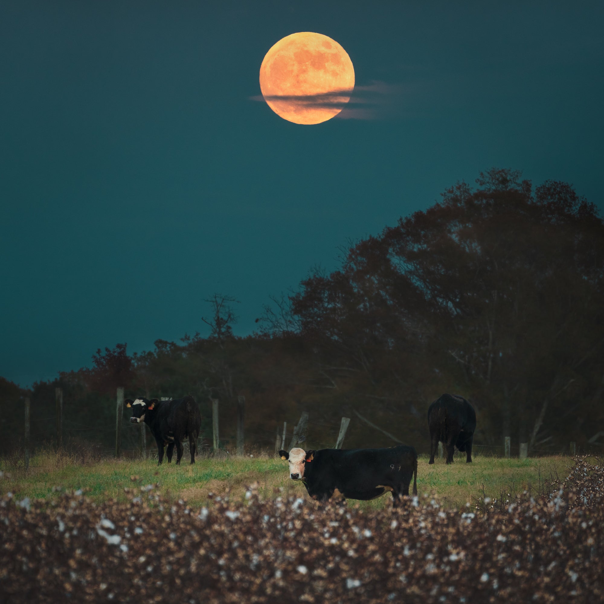 Photo by Chris Greer. Sony Alpha 1. Sony 100-400mm f/4.5-5.6 G Master. 1-sec., f/10, ISO 100