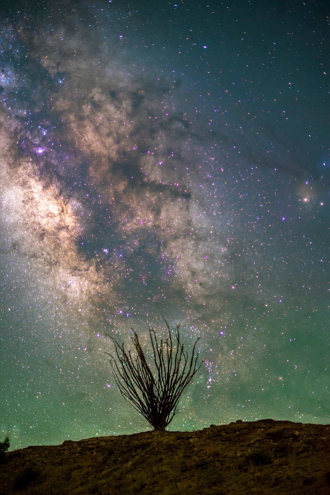 Alpha-Universe-WIMB-Chris-Olivas-7.jpg