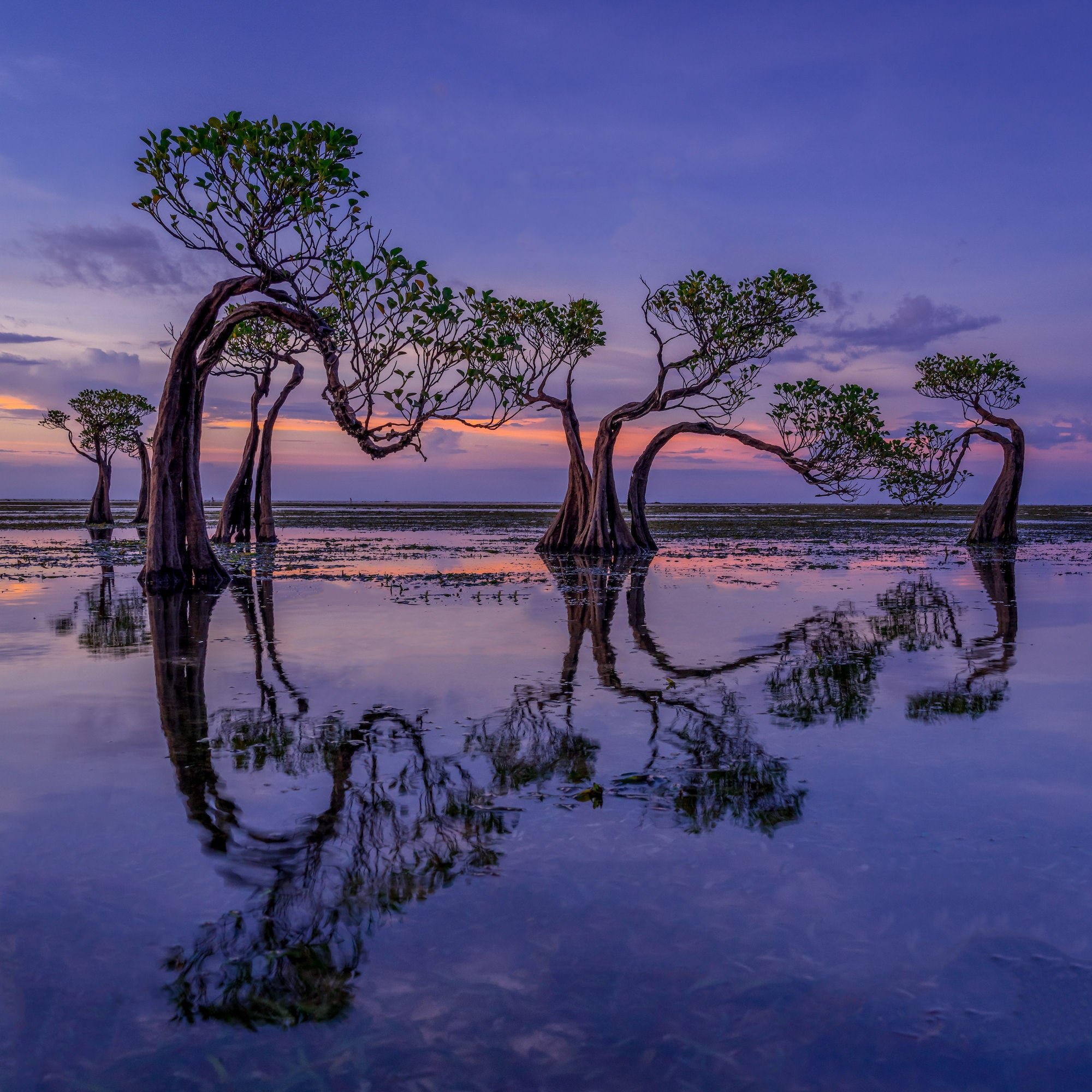 Photo by Criz Quinn. Sony Alpha 1. Sony 24-105mm f/4 G. 1/8-sec., f/10, ISO 640