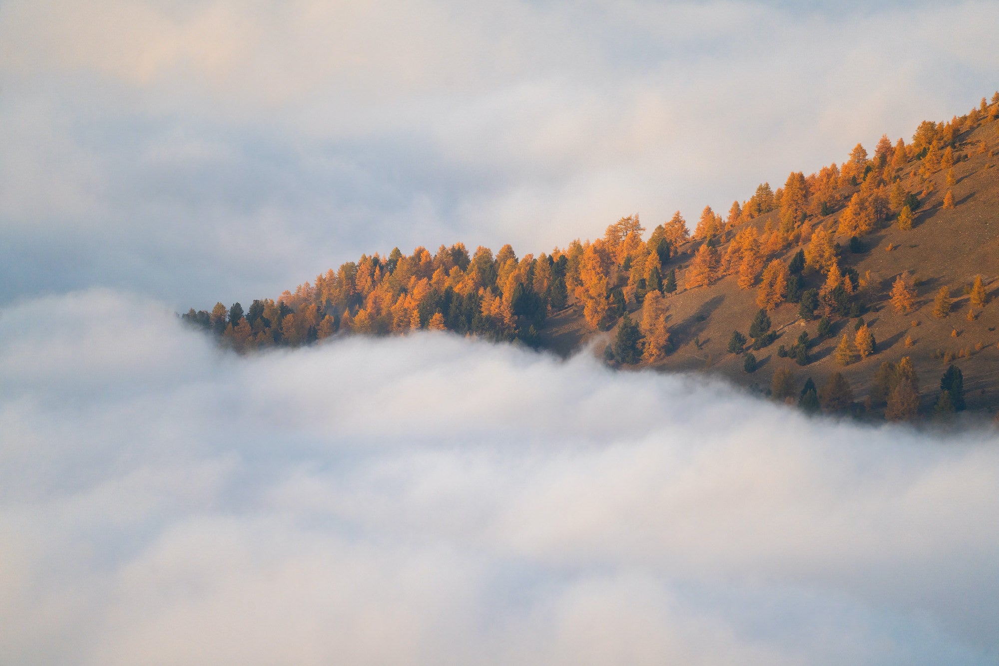 Photo by Daniele Boffelli. Sony Alpha 7R IV. Sony 100-400mm f/4.5-5.6 G Master. 1/250-sec., f/9, ISO 640