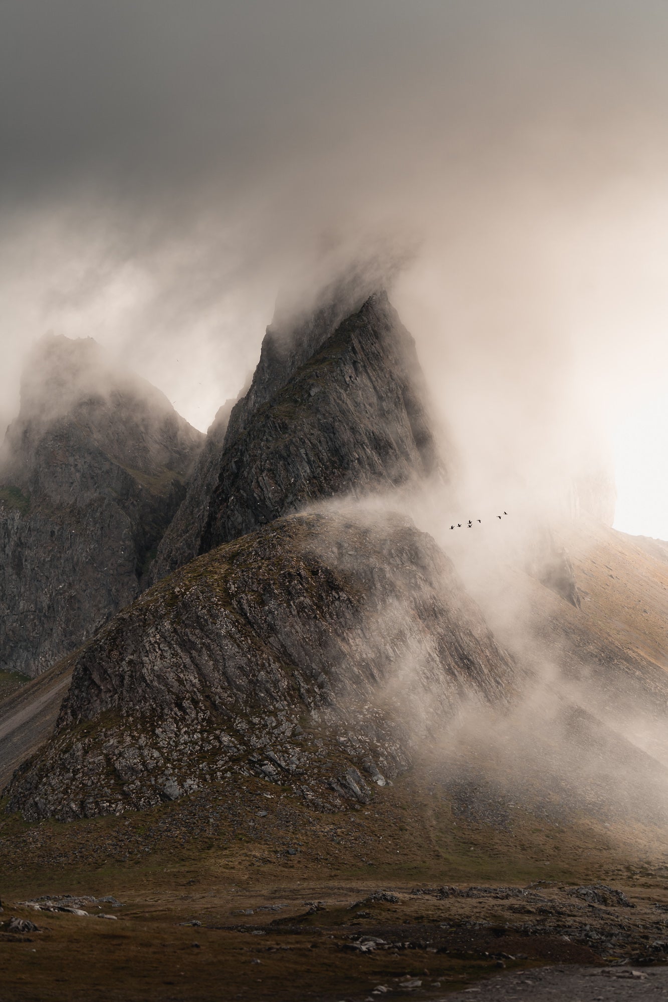 &ldquo;Eystrahorn Geese, a rare moment with a flock of geese flying past an Icelandic mountain range.&rdquo; Photo by Daryl Scott Walker. Sony Alpha 7 III. Sony 70-200mm f/4 G. 1/500-sec, f/4, ISO 1000