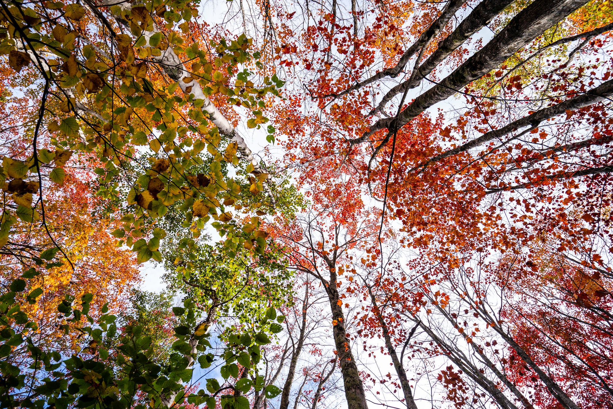 Photo by David Maloney. Sony Alpha 9. Sony 16-35mm f/4. 1/400-sec., f/6.3, ISO 400