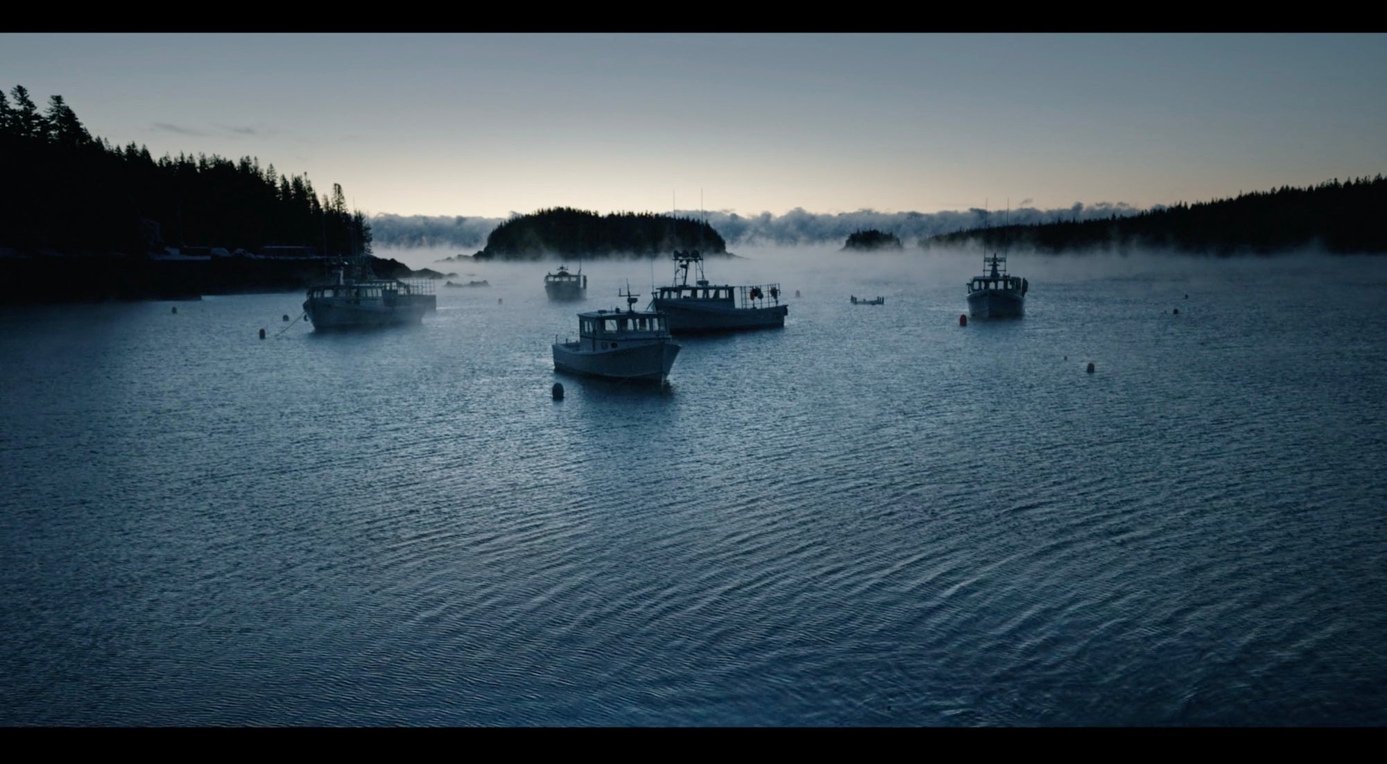 David McLain's Bold Coast Dreams