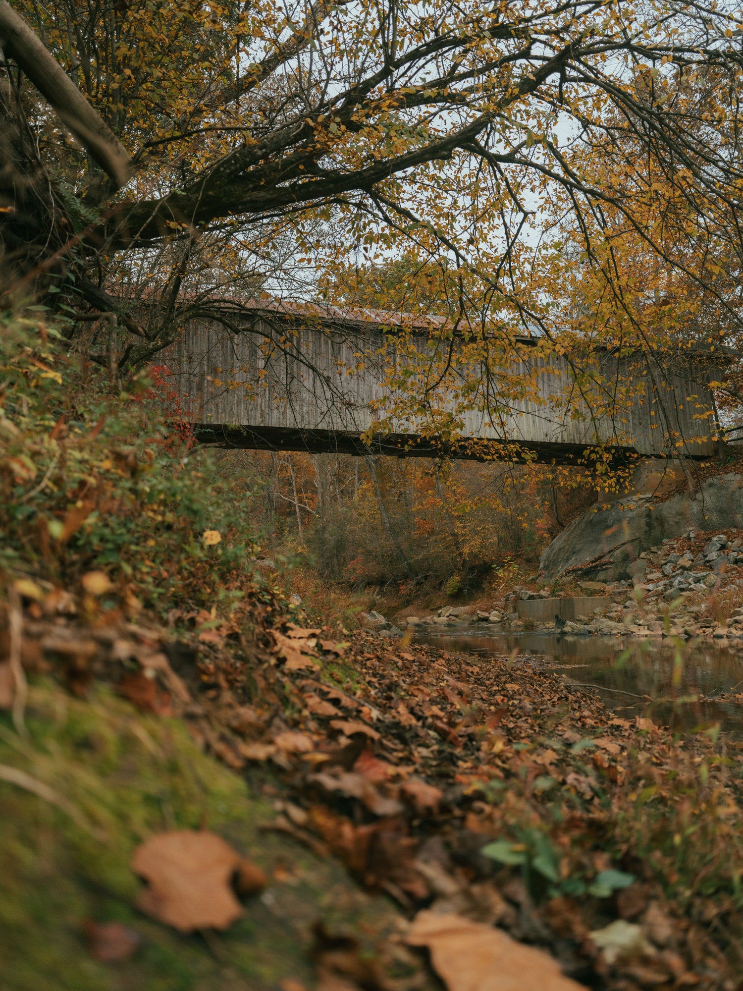 Photo by Dylan Blackburn. Sony Alpha 7CR. Sony 35mm f/1.8. 1/1250-sec., f/2.8, ISO 400