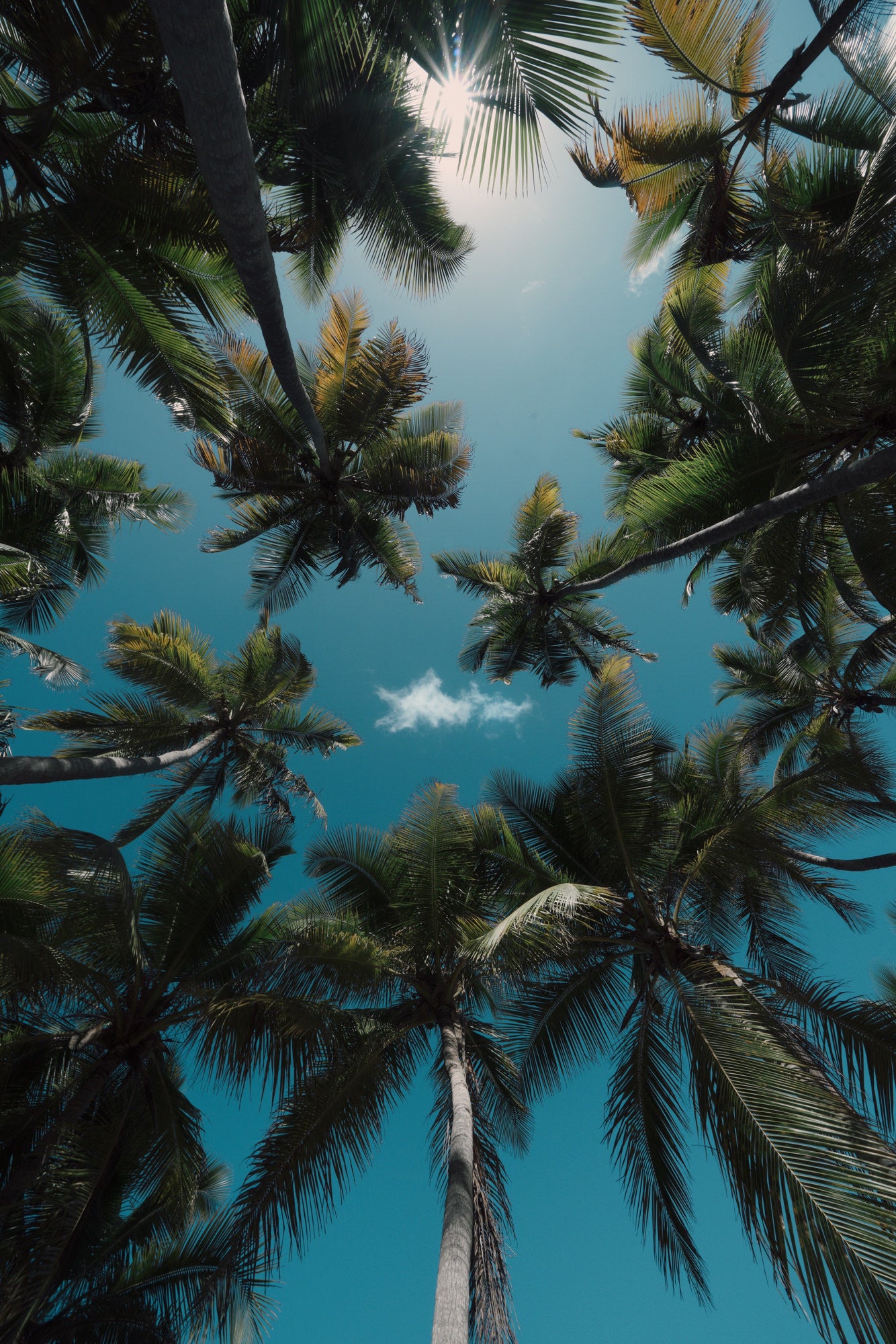 Photo by Eric Ward. Sony Alpha 7R II. Sony 12-24mm f/4 G. 1/100-sec., f/16, ISO 100