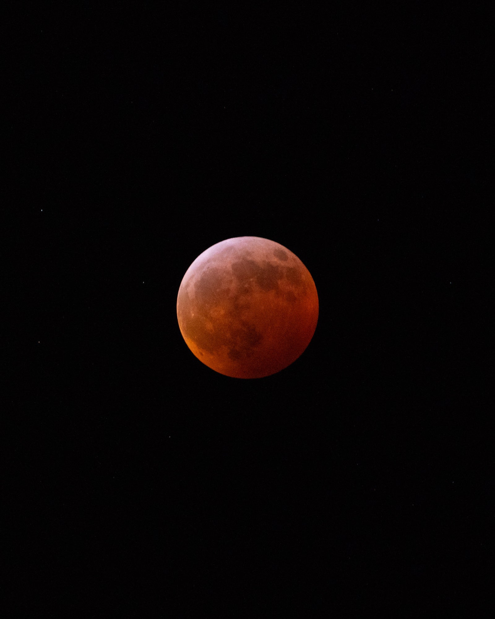 Photo by Eric Ward. Sony Alpha 7R III. Sony 100-400mm f/4.5-5.6 G Master. 1/8-sec., f/5.6, ISO 4000