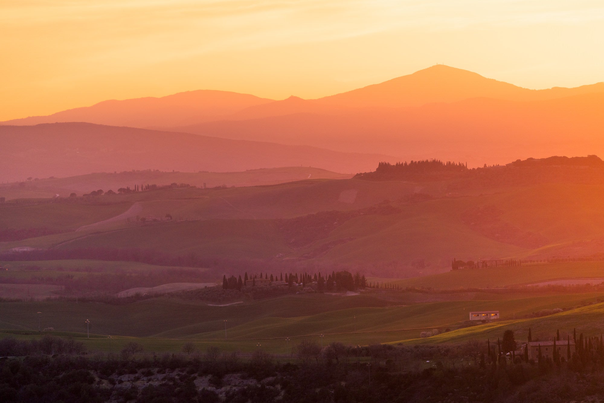 Photo by Erin Sullivan. Sony Alpha 7R IV. Sony 100-400mm f/4.5-5.6 G Master. 1/320-sec., f/5.6, ISO 640
