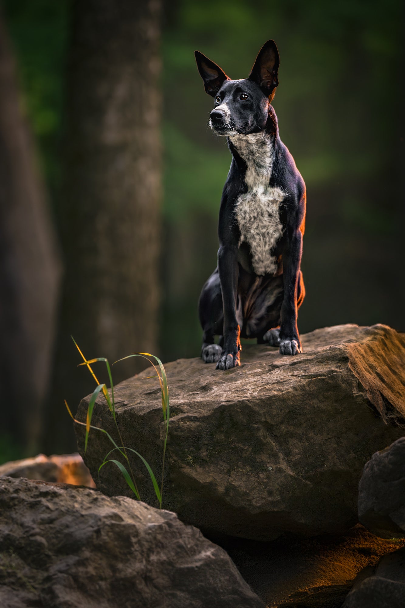 Photo by Garrette Baird. Sony Alpha 1. Sony 135mm f/1.8 G Master. 1/1250-sec., f/1.8, ISO 2000