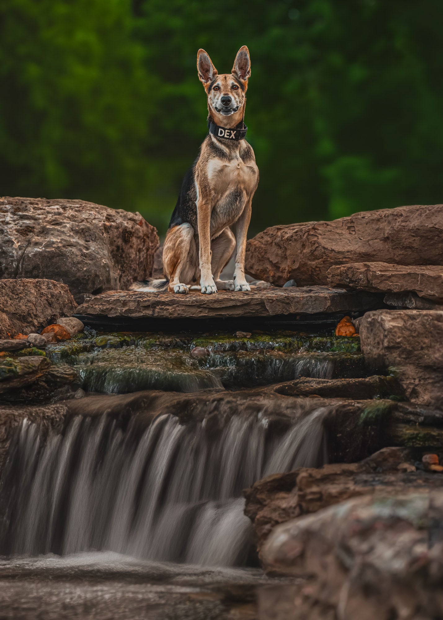 Photo by Garrette Baird. Sony Alpha 1. Sony 135mm f/1.8 G Master. 1/1000-sec., f/2.5, ISO 2000