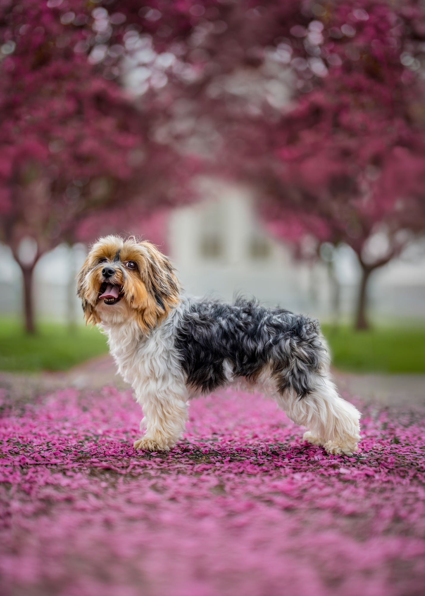 Photo by Garrette Baird. Sony Alpha 1. Sony 50mm f/1.2 G Master. 1/1000-sec., f/1.2, ISO 125