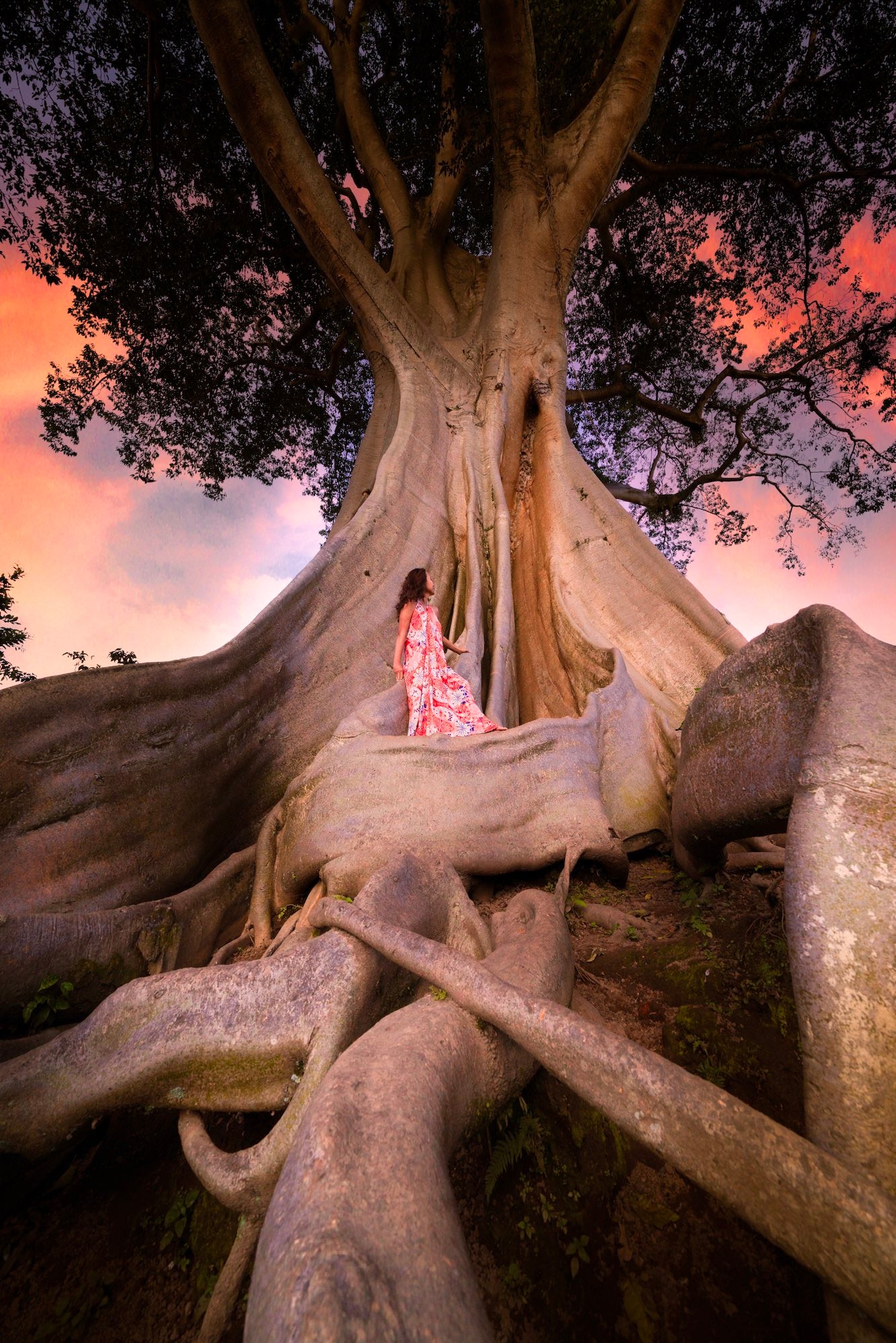 Photo by Gregg Jaden. Sony Alpha 7S III. Sony 12-24mm f/4 G. 1/640-sec., f/8, ISO 400