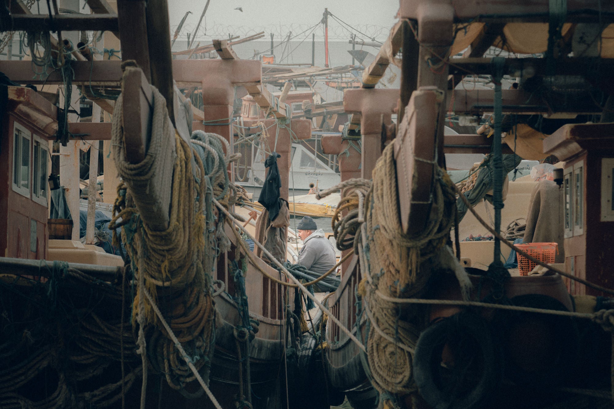 Photo by Hamad Alhendi. Sony Alpha 7R IV. Sony 24-105mm f/4 G. 1/400-sec., f/5, ISO 100