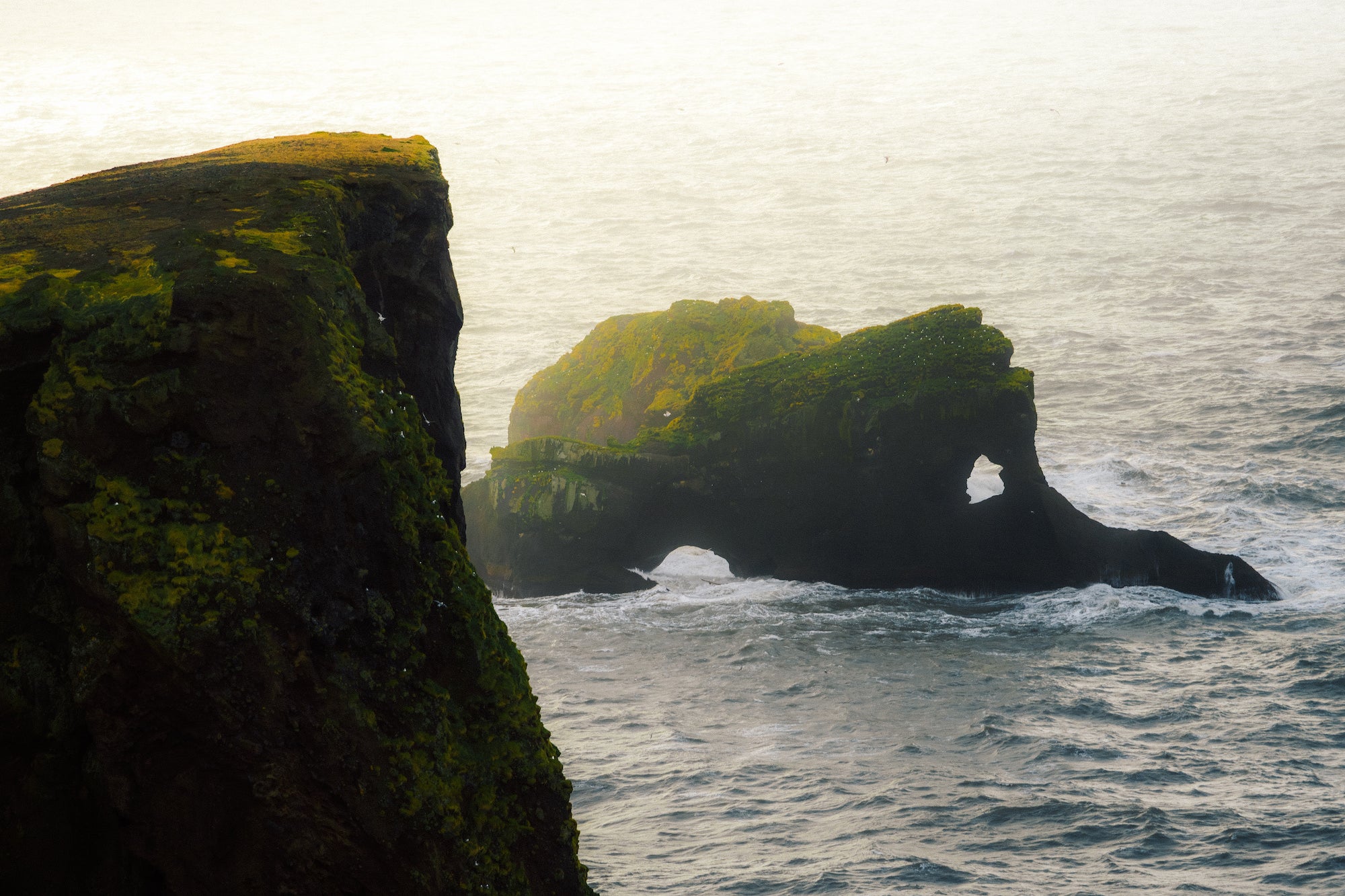 Photo by Hudson McDonald. Sony Alpha 7 IV. Sony 70-200mm f/4 G. 1/1250-sec., f/4, ISO 400
