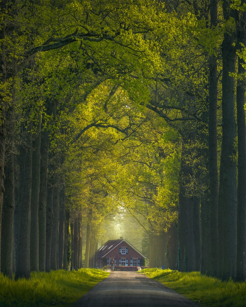 jpg/Alpha-Universe-WIMB-Ilhan-Eroglu-6-1200_boundsod8h4x.jpg?height=1200&fit=bounds