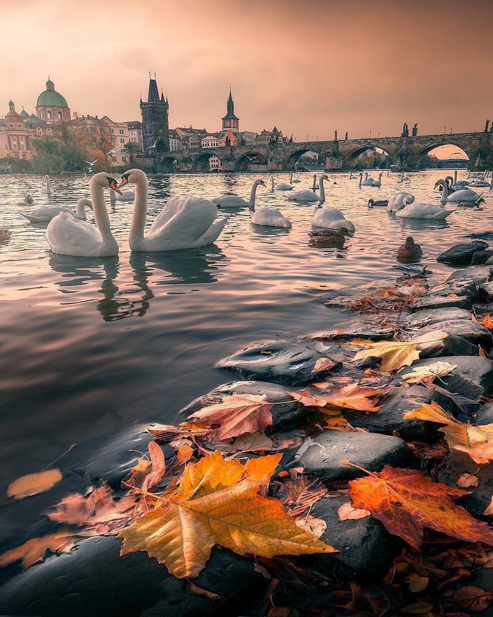 jpg/Alpha-Universe-WIMB-Ilhan-Eroglu-9-1200_boundsdkqb3x.jpg?height=1200&fit=bounds