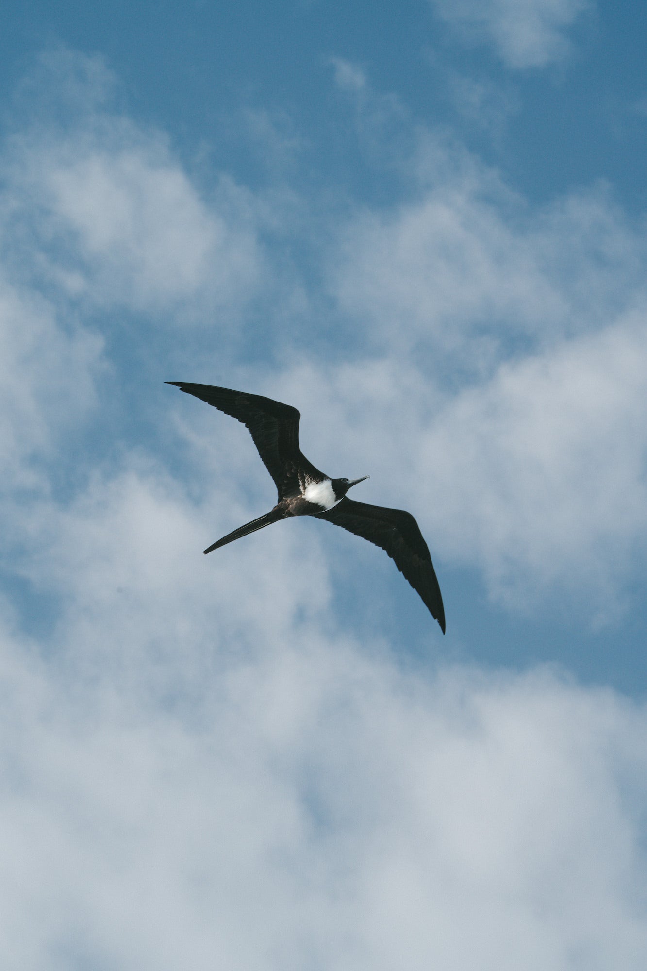 Photo by Jenna-Marie Mancini. Sony Alpha 7 IV. Sony 200&ndash;600mm f/5.6&ndash;6.3 G. 1/250-sec., f/14, ISO 250