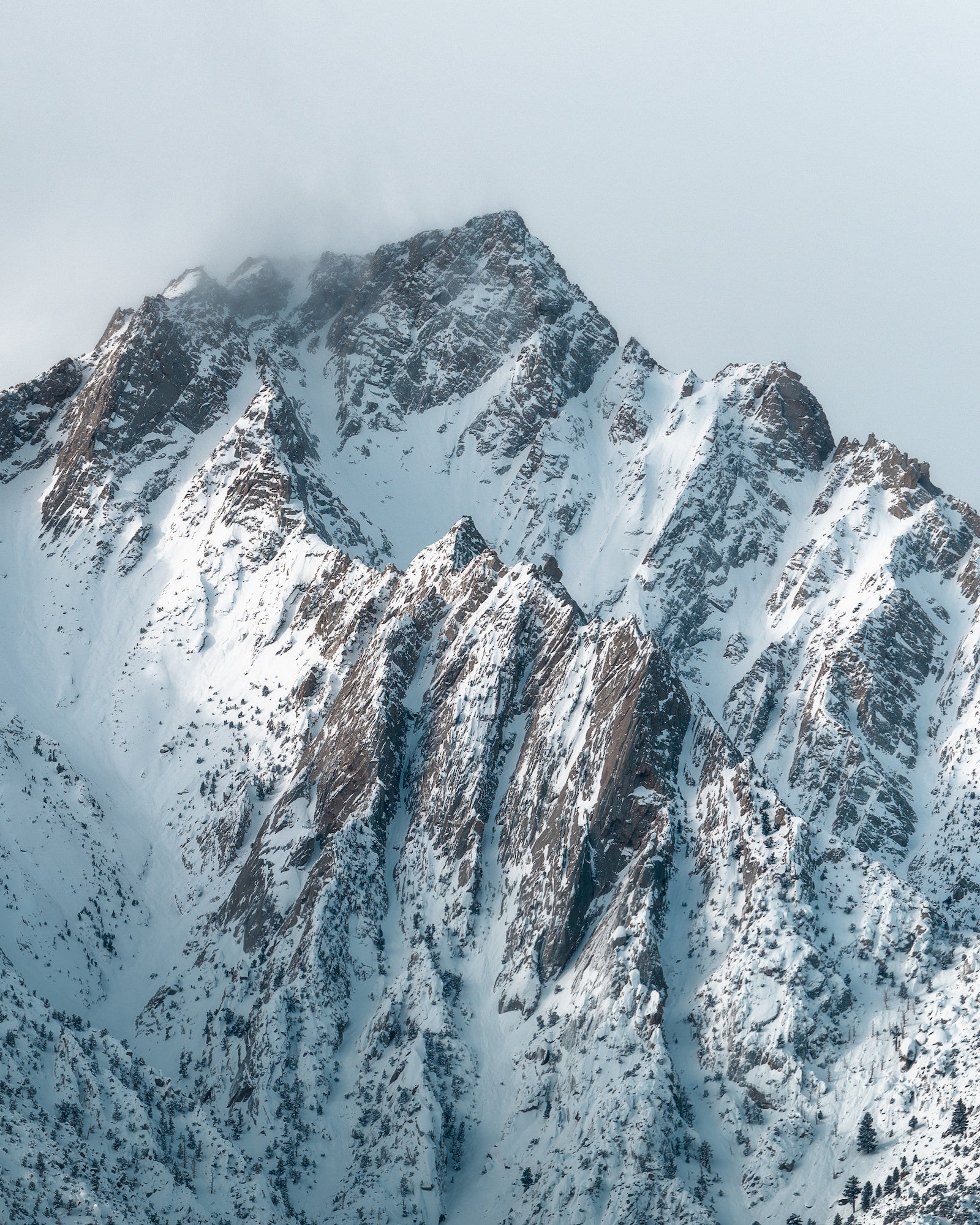 Photo by Larry Ginyard. Sony Alpha 7 IV. Sony 70-200mm f/2.8 G Master II. 1/100-sec., f/6.3, ISO 50