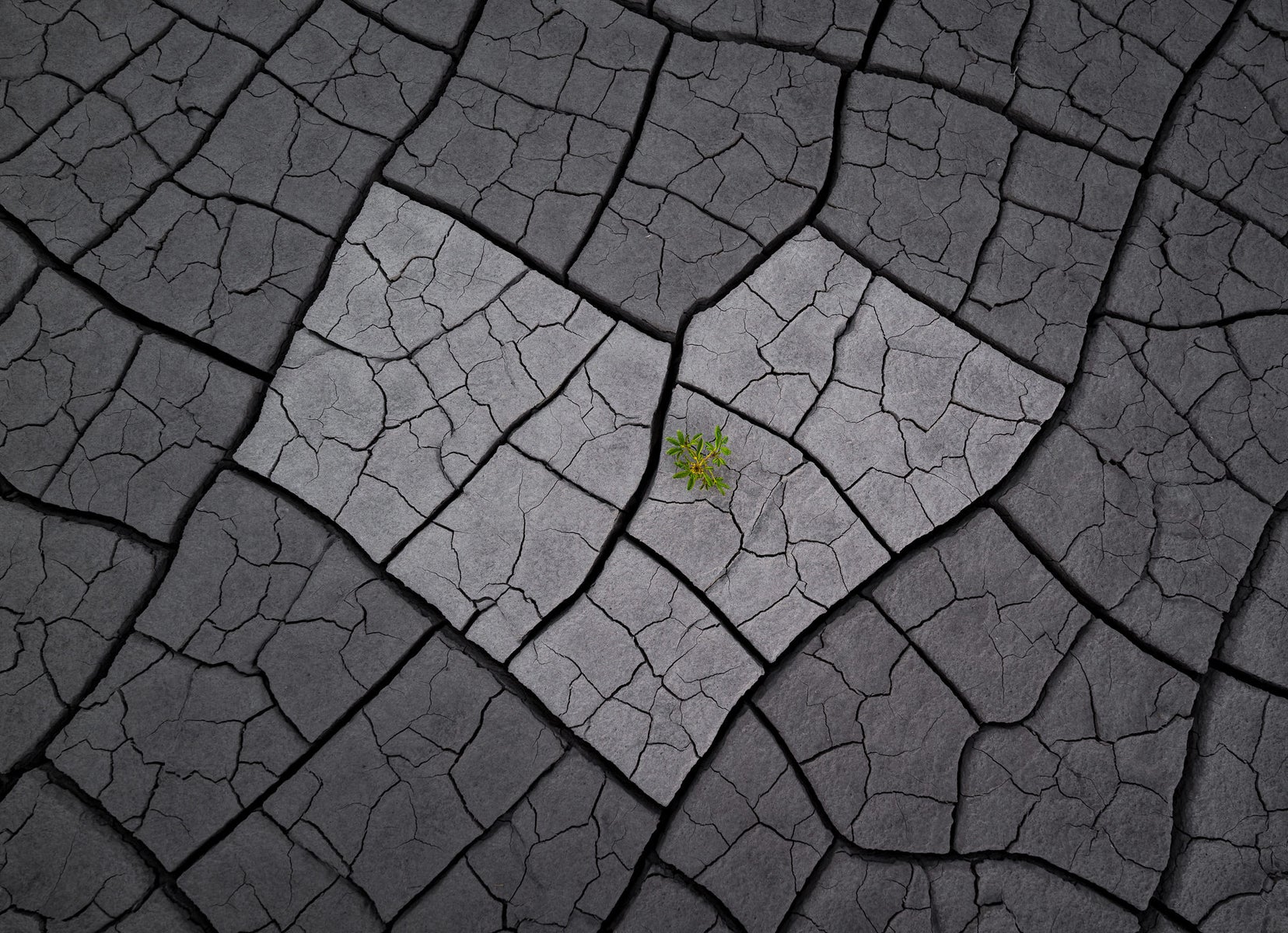jpg/Alpha-Universe-WIMB-Lawrence-Leyderman-6-1200_boundsuvaefc.jpg?height=1200&fit=bounds