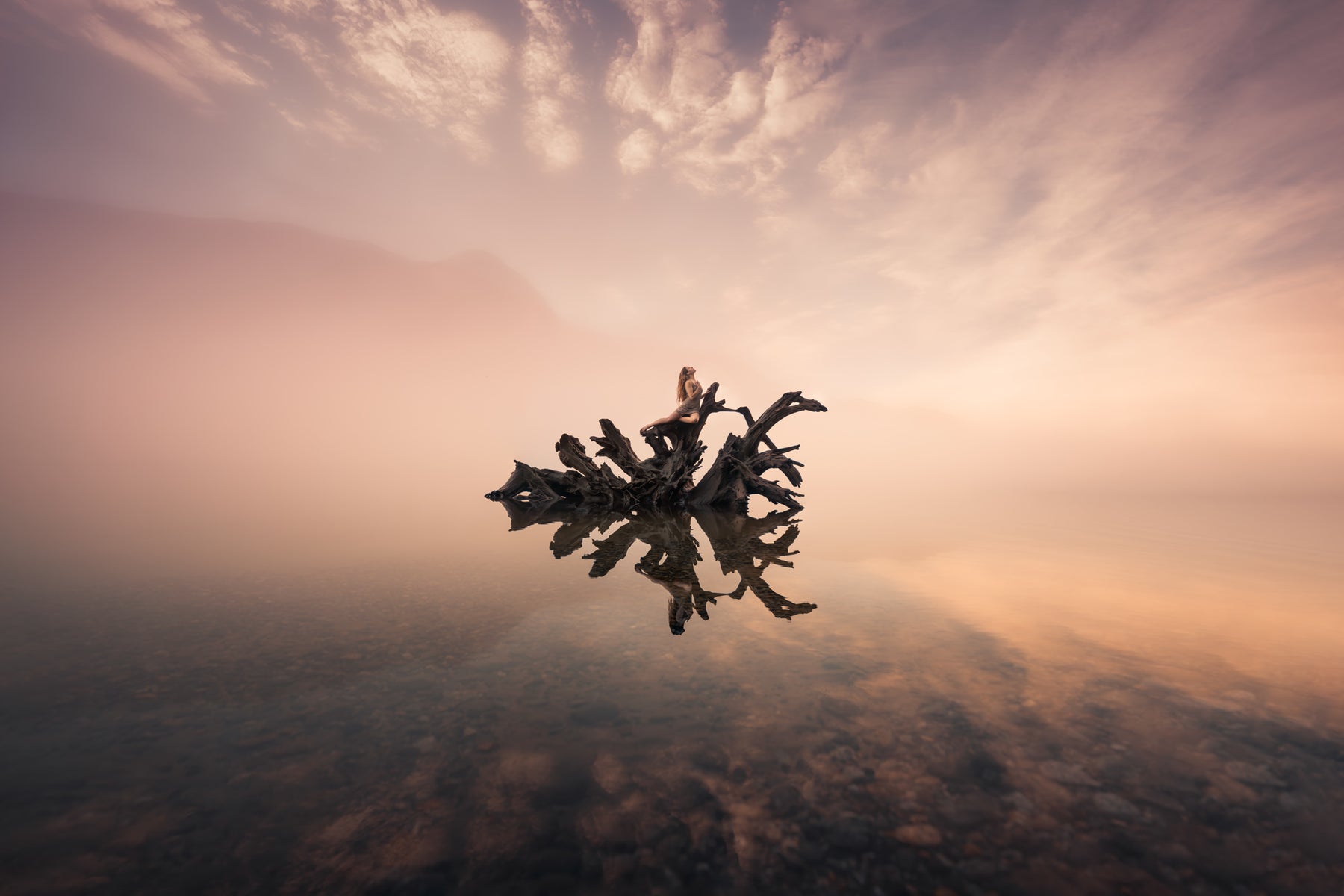 jpg/Alpha-Universe-WIMB-Lizzy-Gadd-10-1200_boundsvwz4gi.jpg?height=1200&fit=bounds