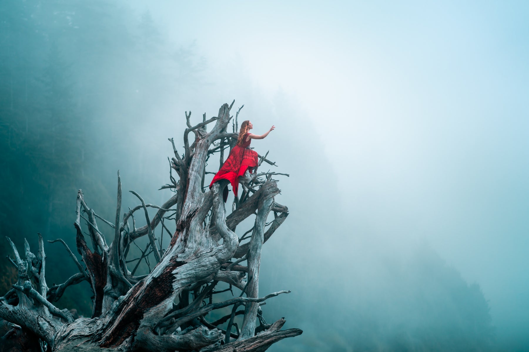 jpg/Alpha-Universe-WIMB-Lizzy-Gadd-13-1200_boundsxjp5m1.jpg?height=1200&fit=bounds